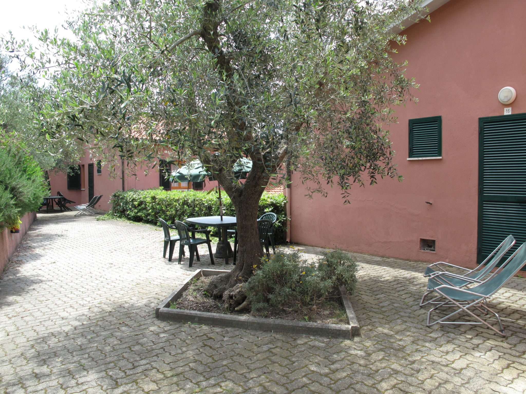 Photo of Elbamar Lacona 1