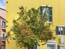Ferienwohnung Il Marinaio