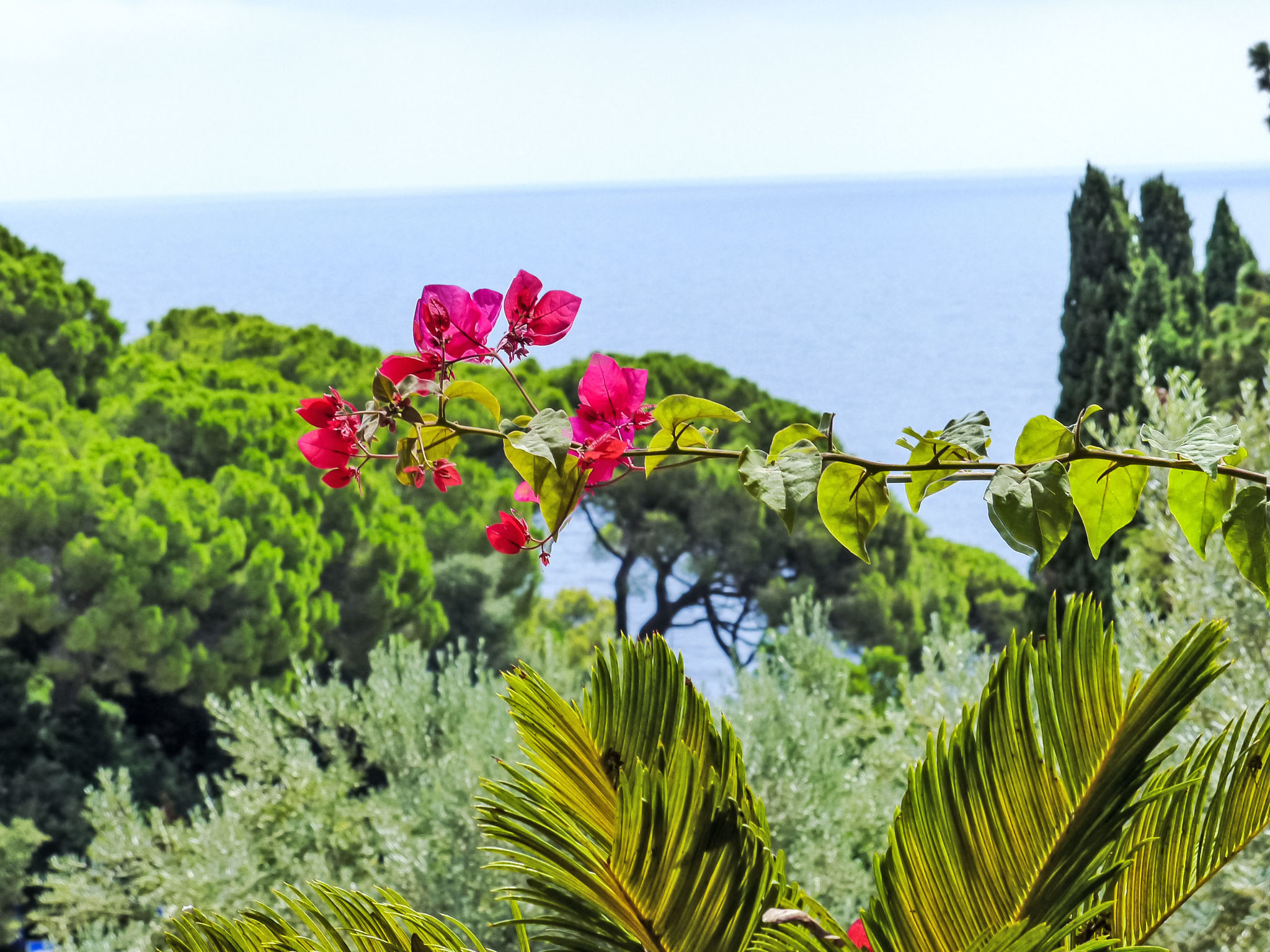 Capo d'Arco-Draußen