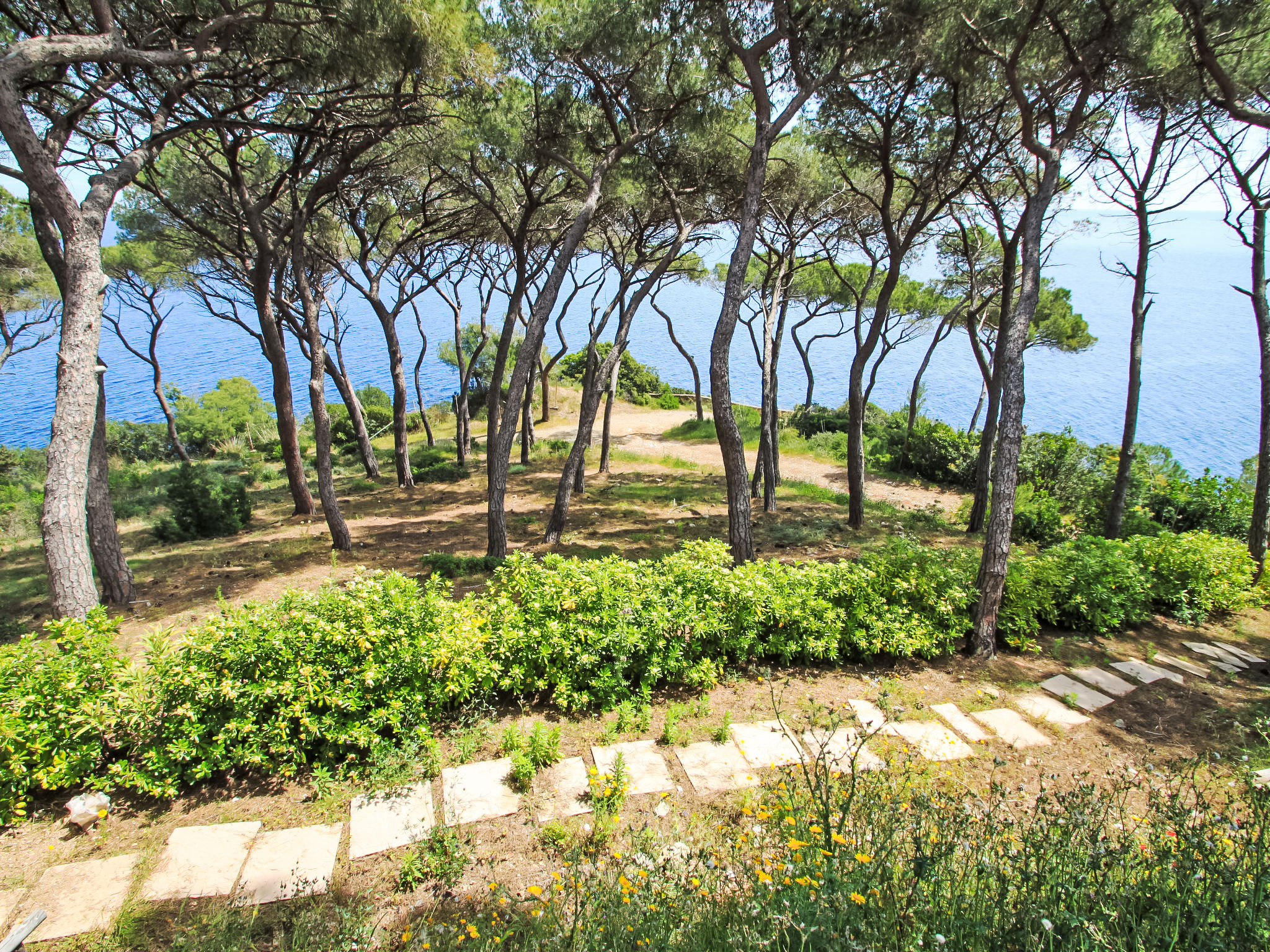 Photo of Capo d'Arco