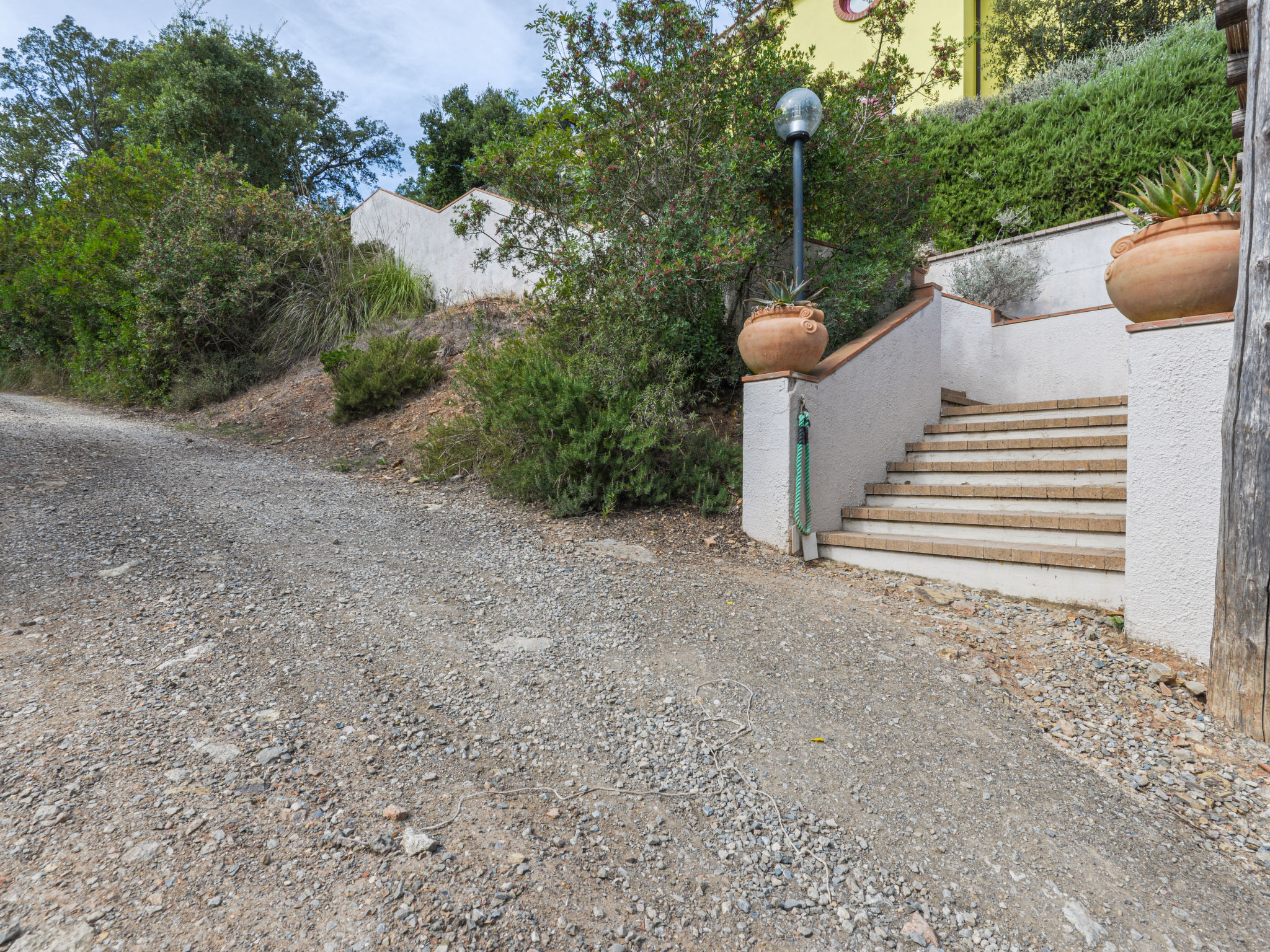 Photo of Mezzo Ortano