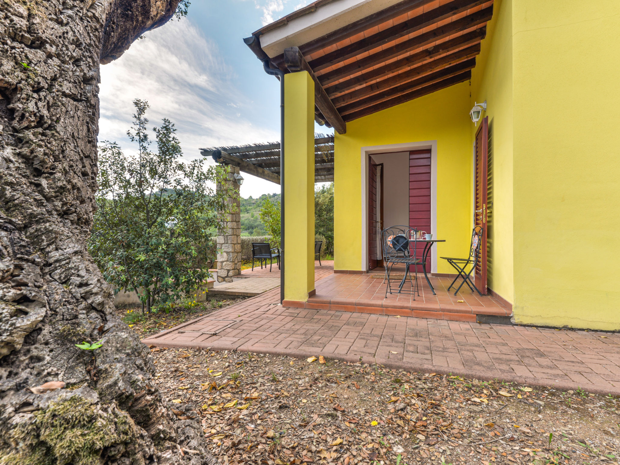 Photo of Mezzo Ortano