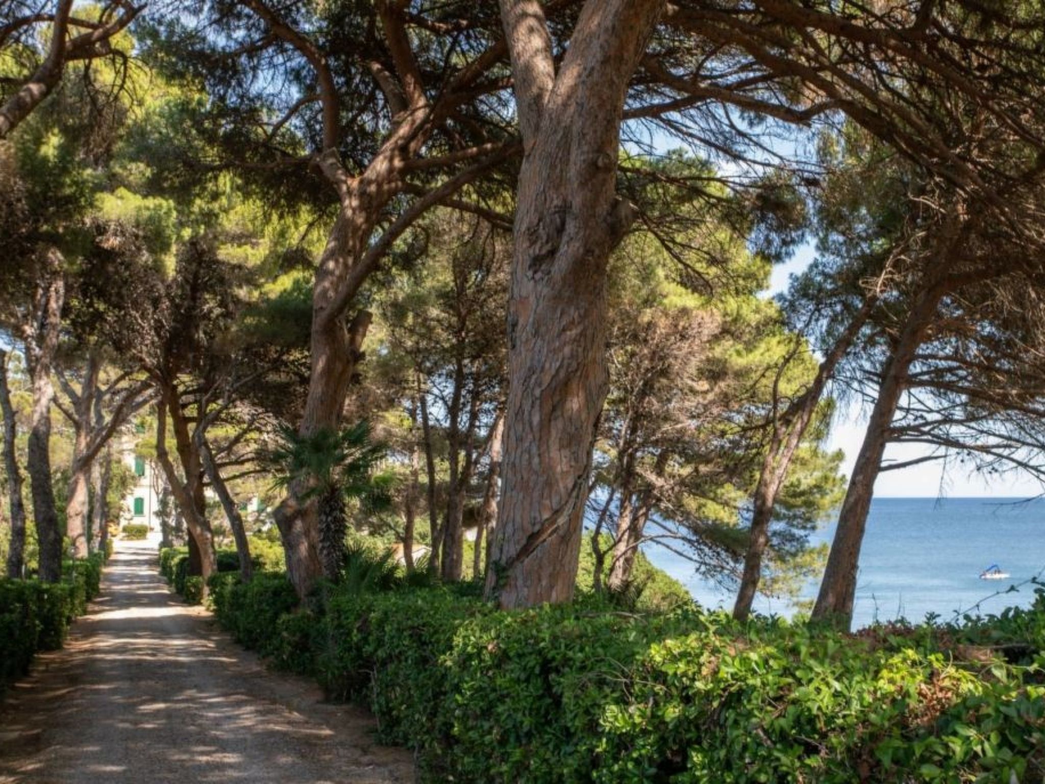 Photo of Villaflair - Villa Bensa Cavo