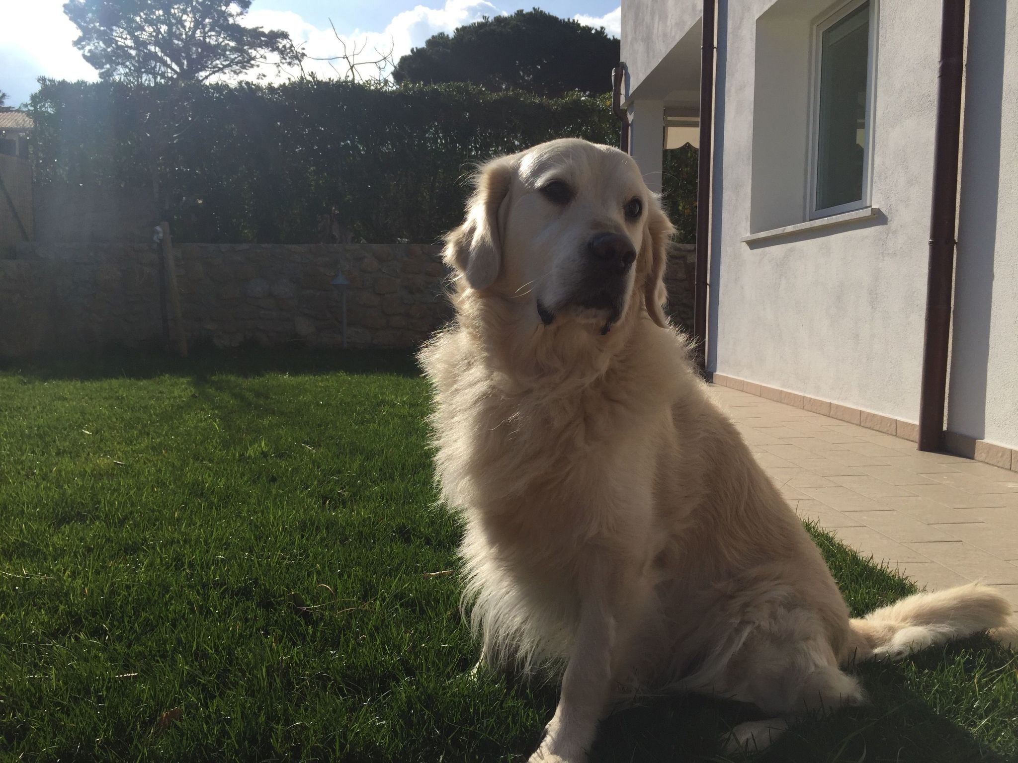 Ein Ferienhaus voller Komfort-Buiten