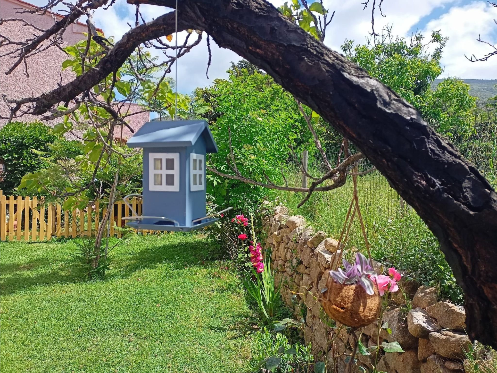 Villa Ontanelli-Binnen