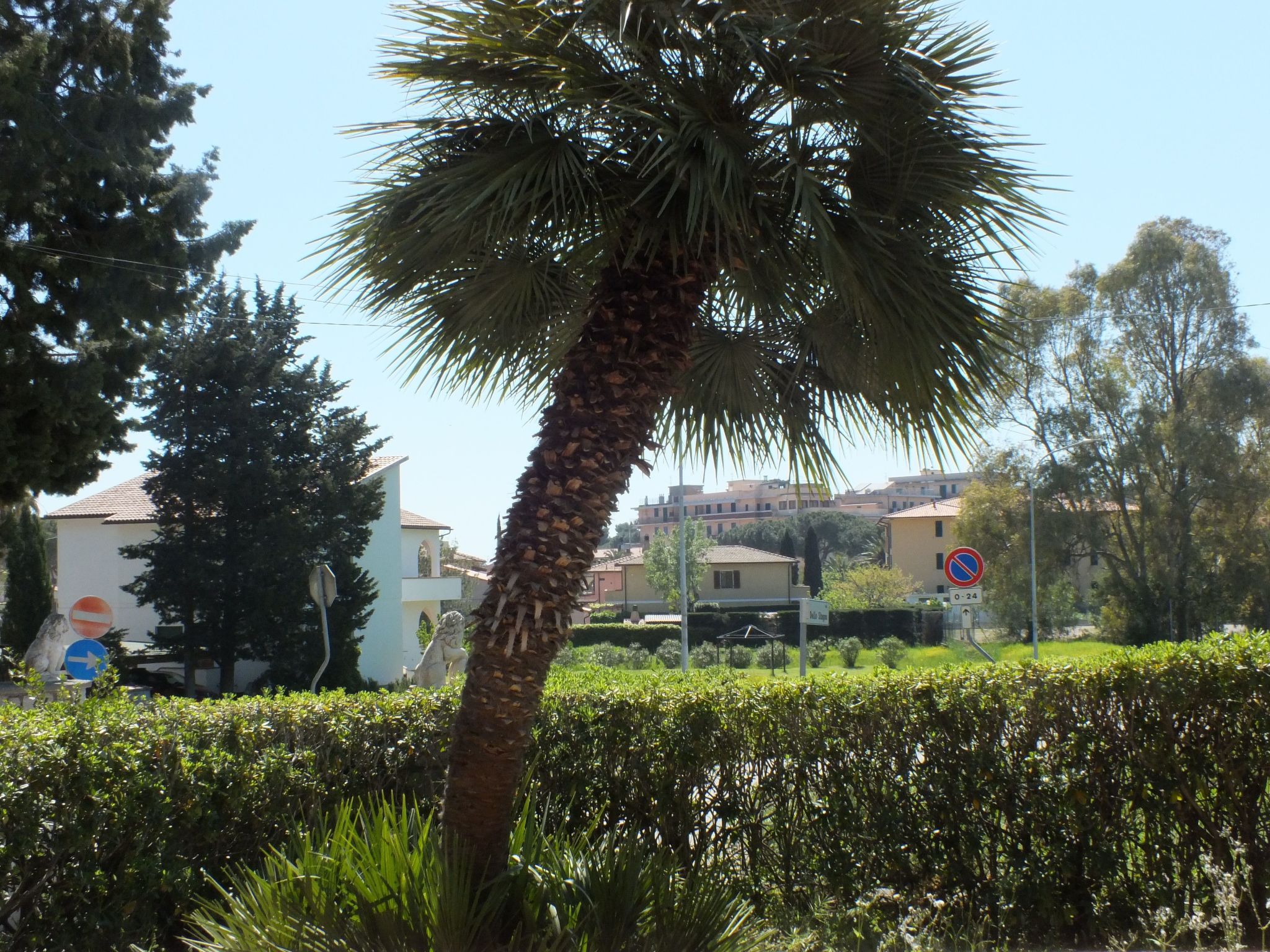 Ruhige Wohnung am Meer-Image-tags.info