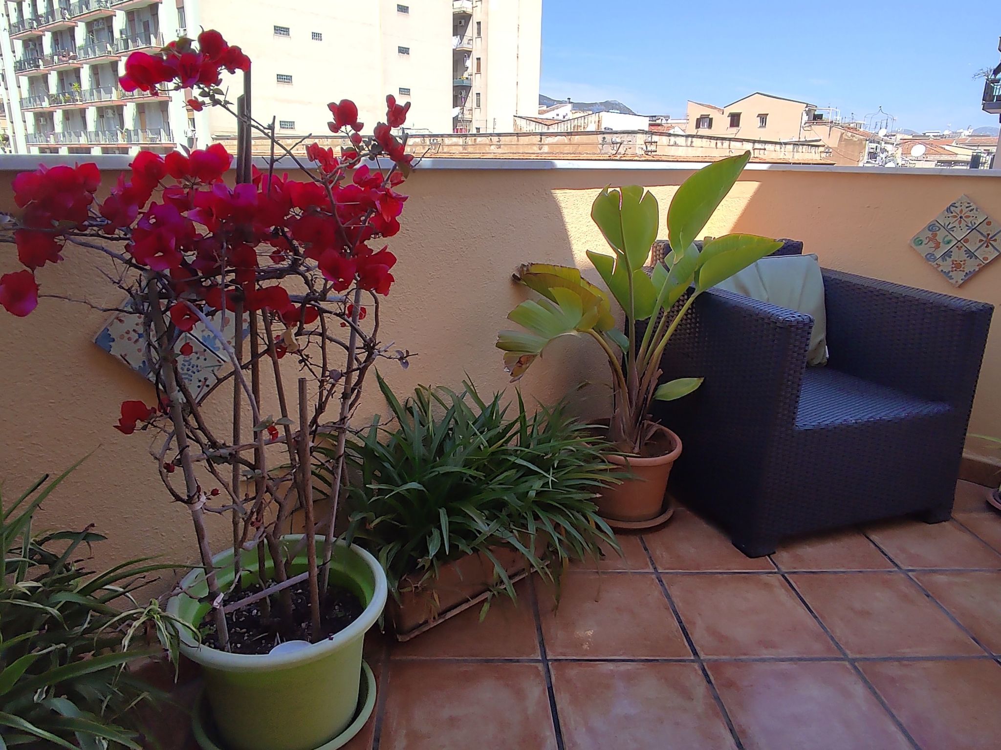 Wohnung mit Terrasse-Binnen