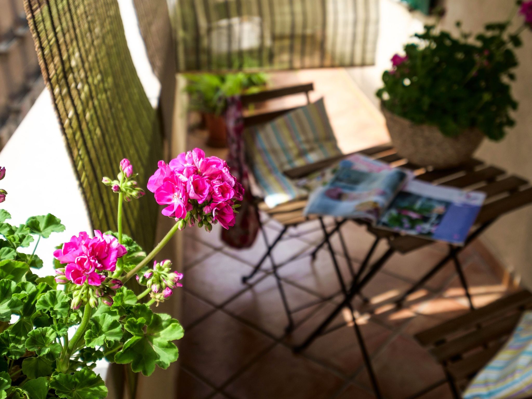 Wohnung mit Terrasse-Binnen