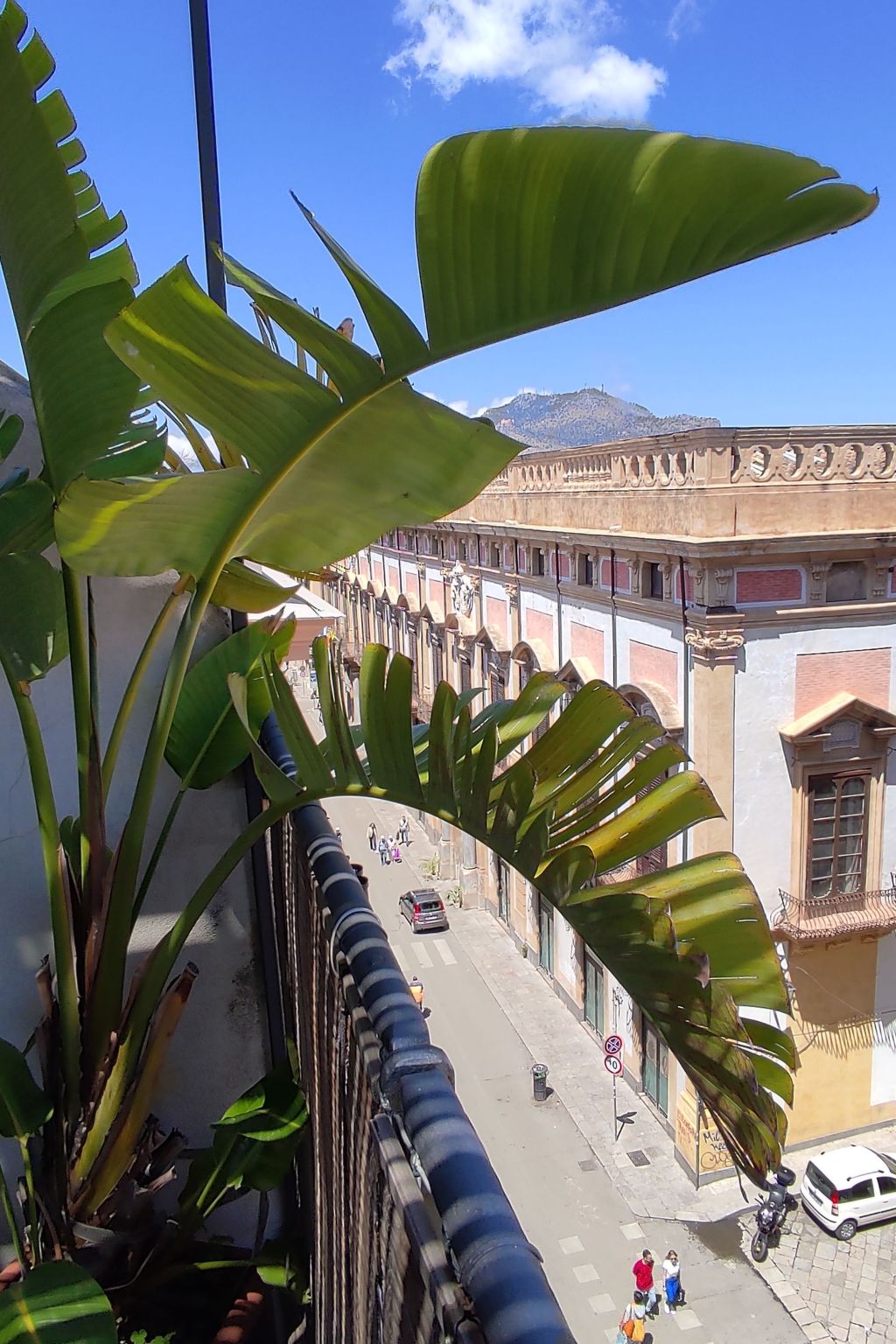 Wohnung "La Terrazza di Massimo-Binnen