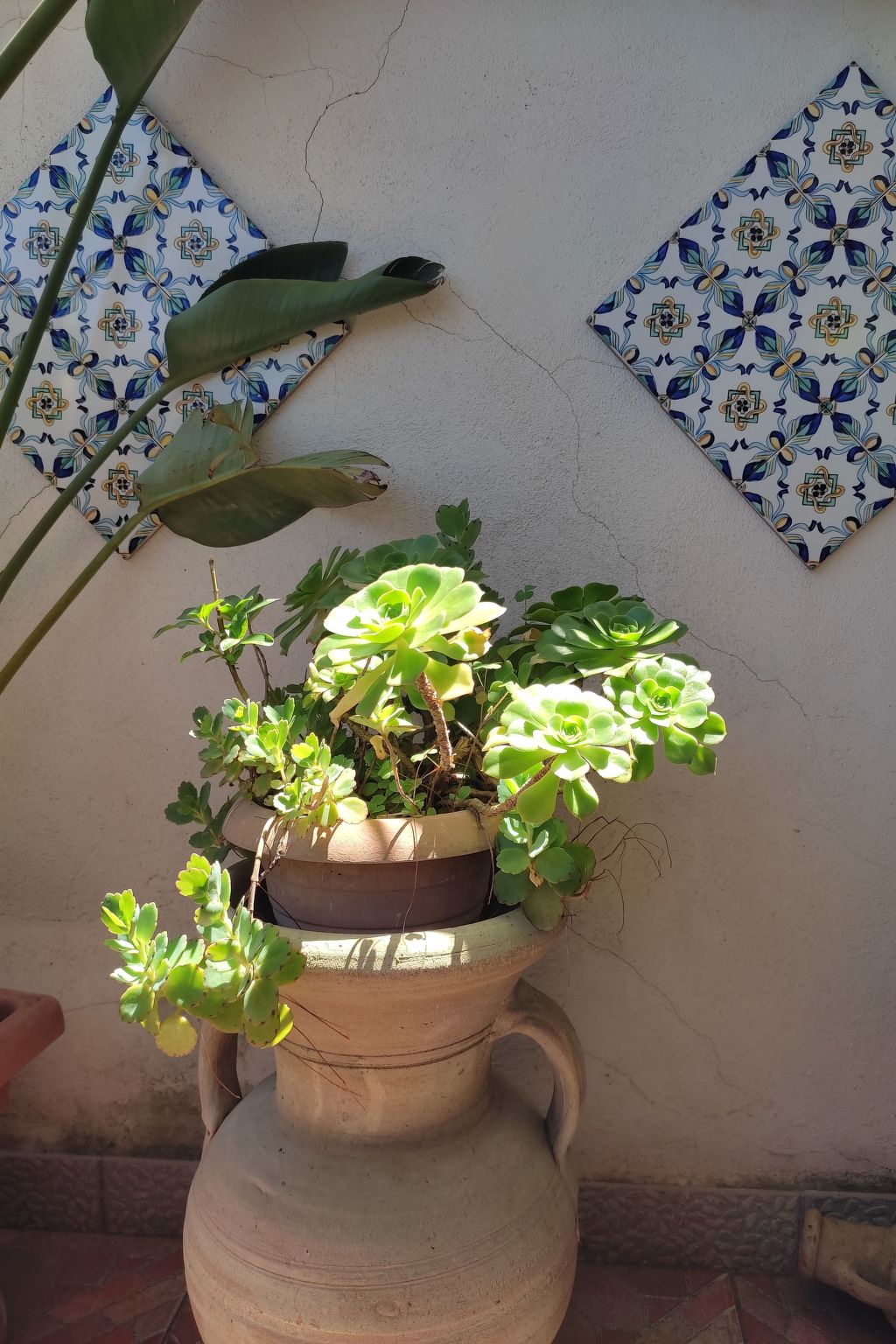 Wohnung "La Terrazza di Massimo-Binnen