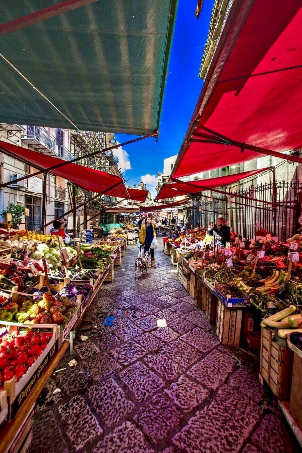 Wohnung "La Terrazza di Massimo-Binnen