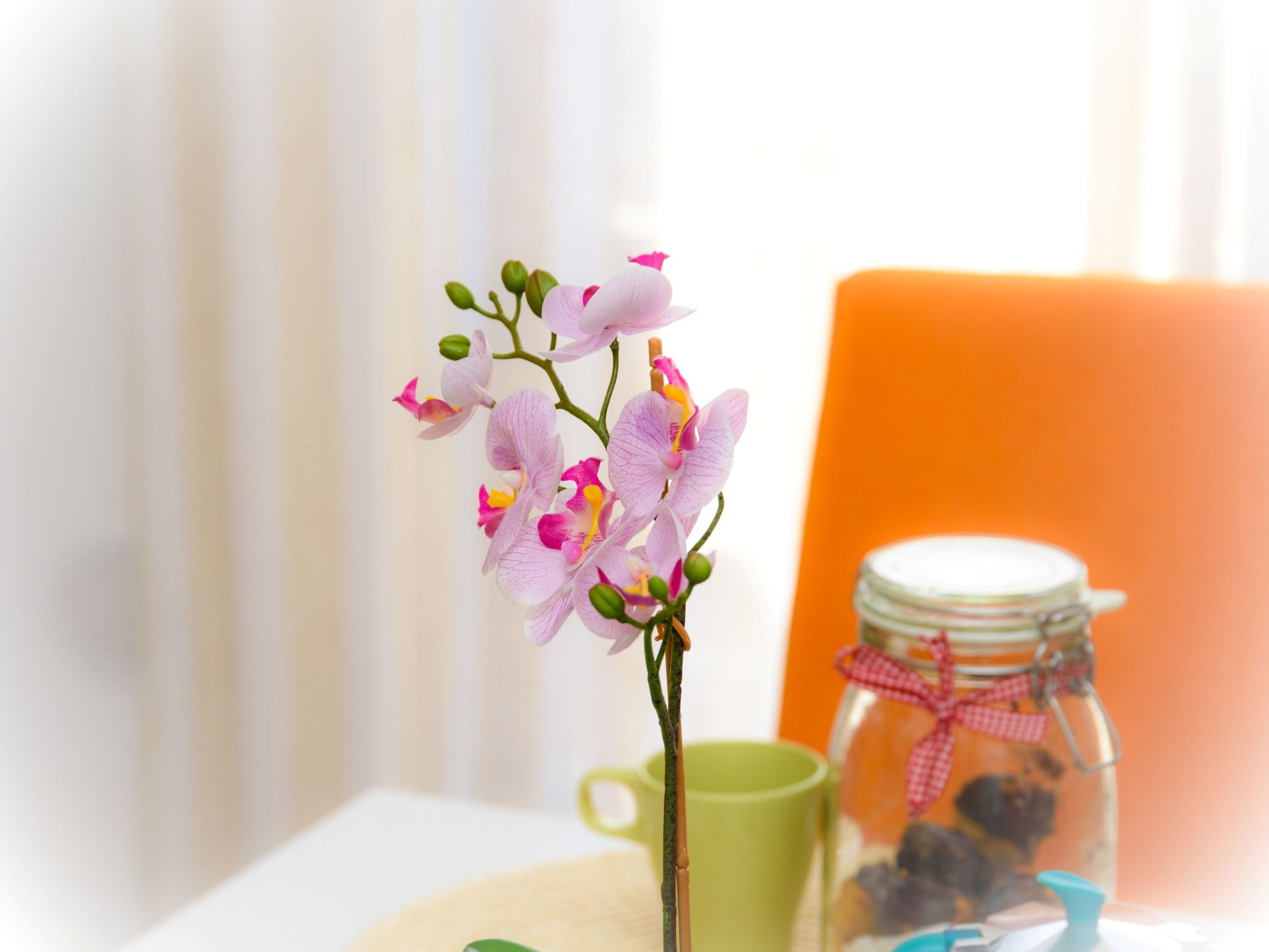Ein-Zimmer-Wohnung 'Capo House' mit Balkon-Binnen