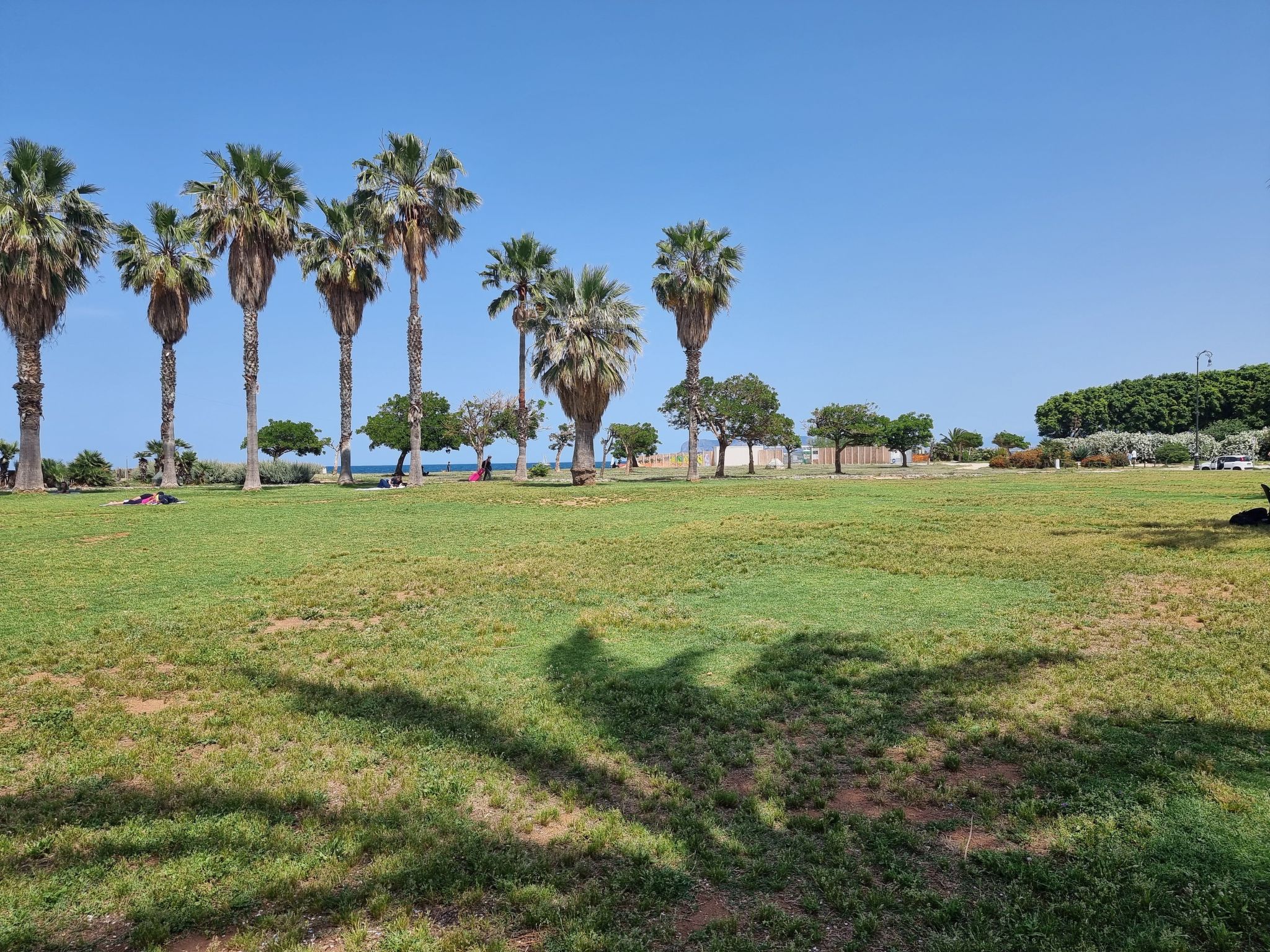 Photo of MaXelA Penthouse Grey