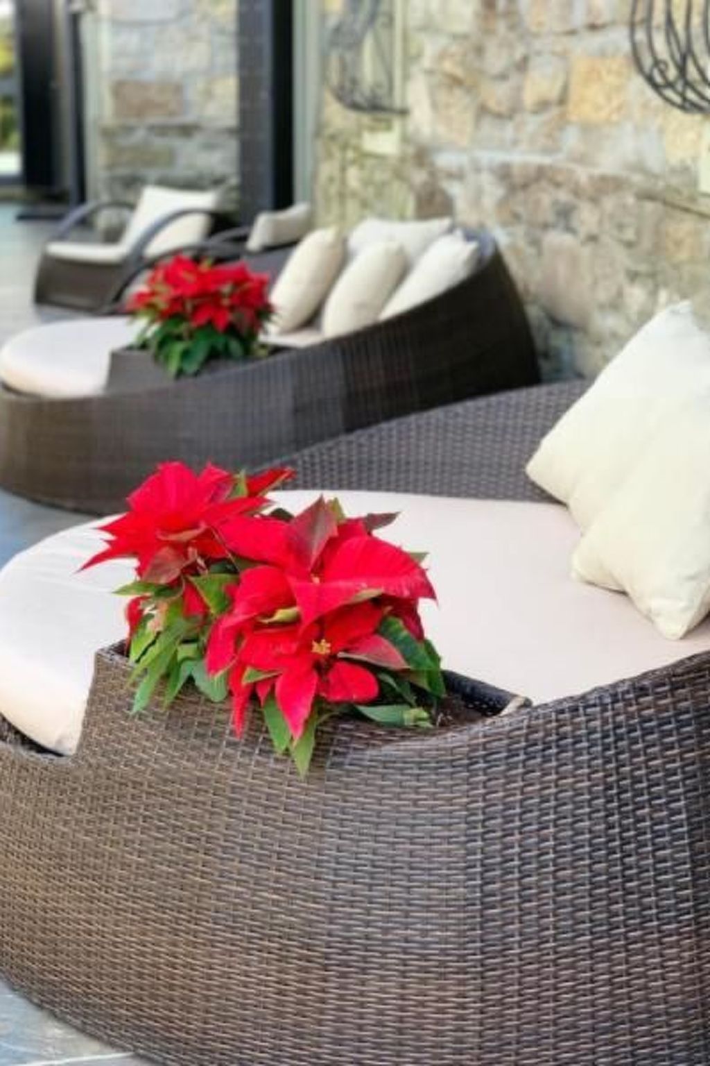 Mit Wasserblick-Image-tags.info