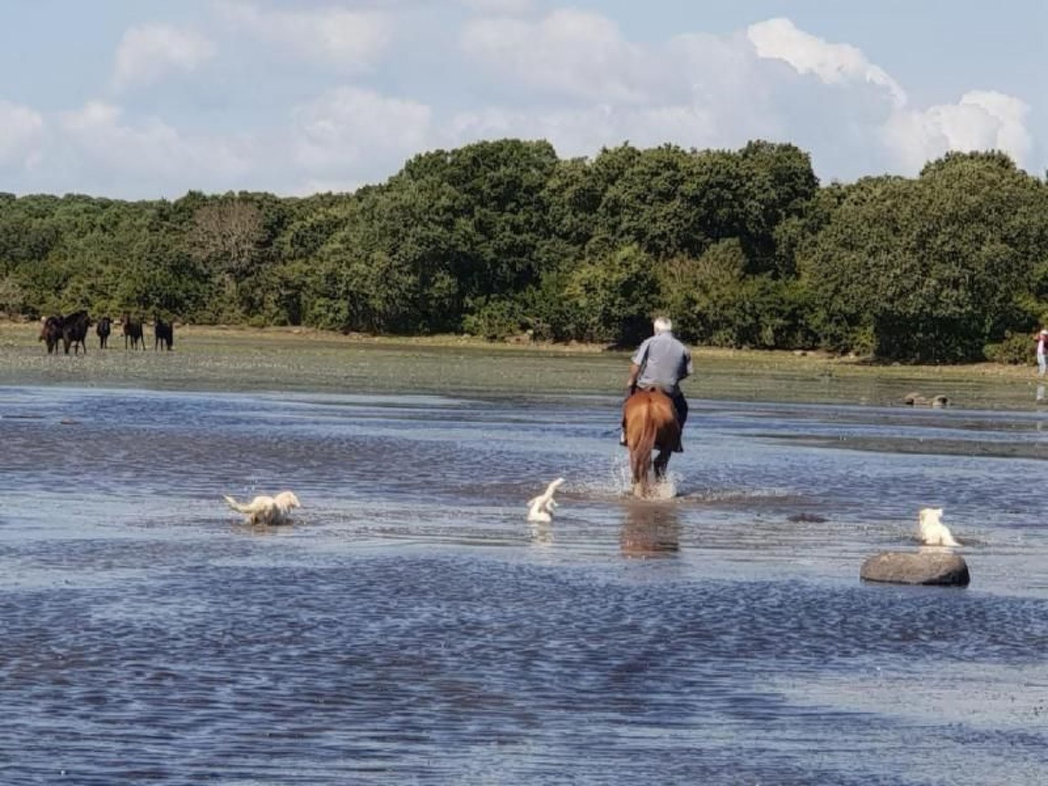 Mit Wasserblick-Image-tags.info