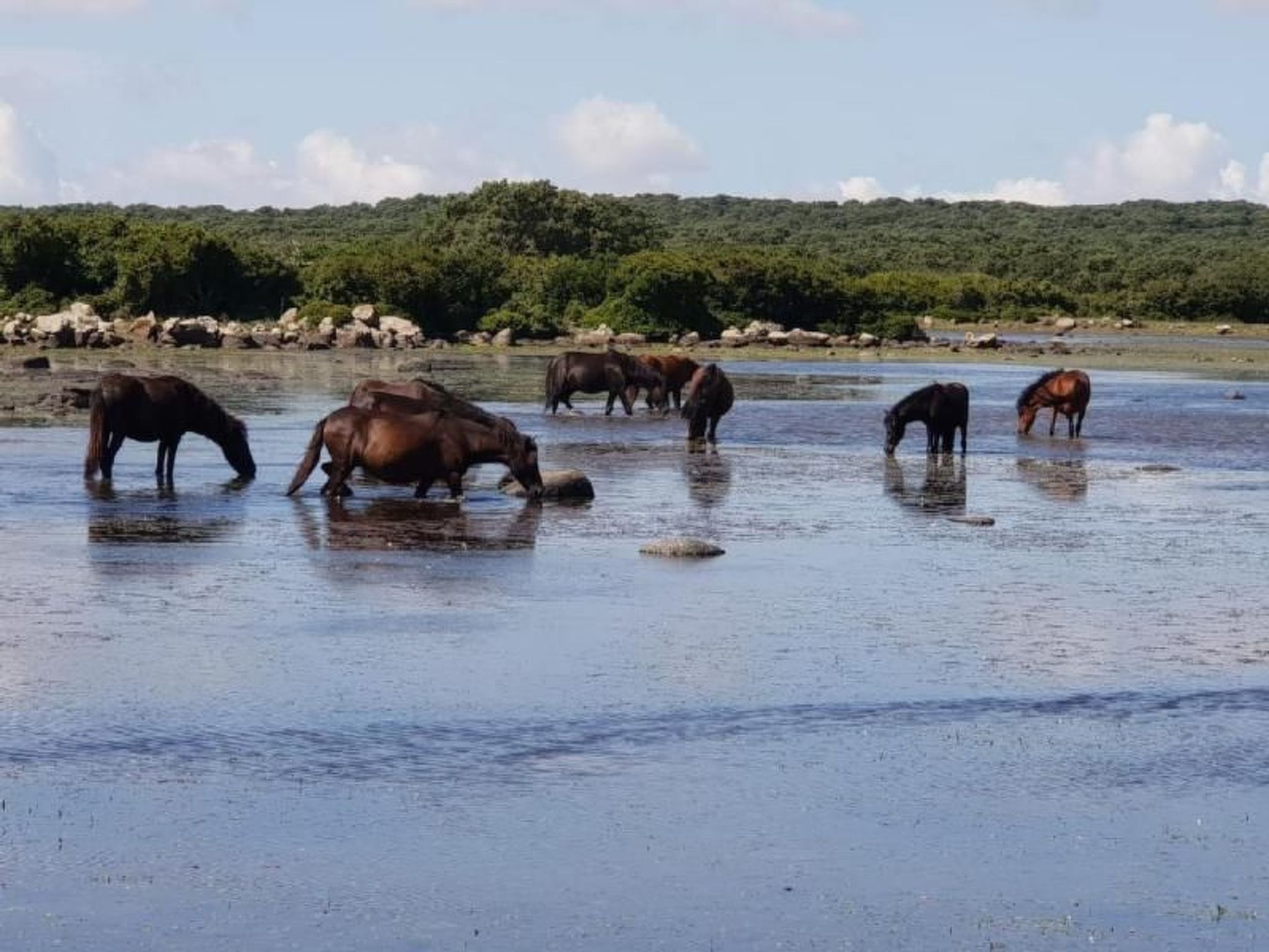 Mit Wasserblick-Image-tags.info