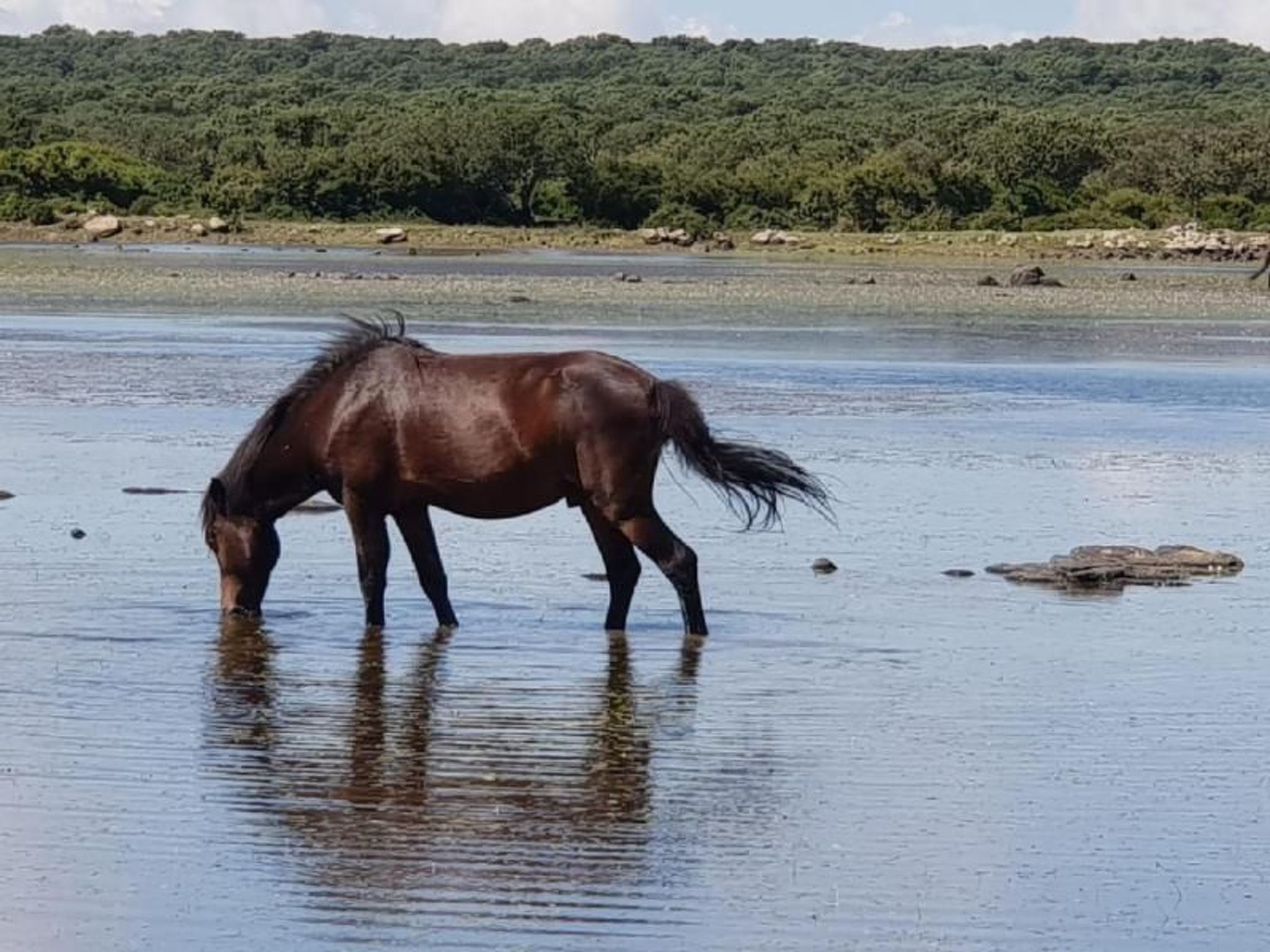 Mit Wasserblick-Image-tags.info