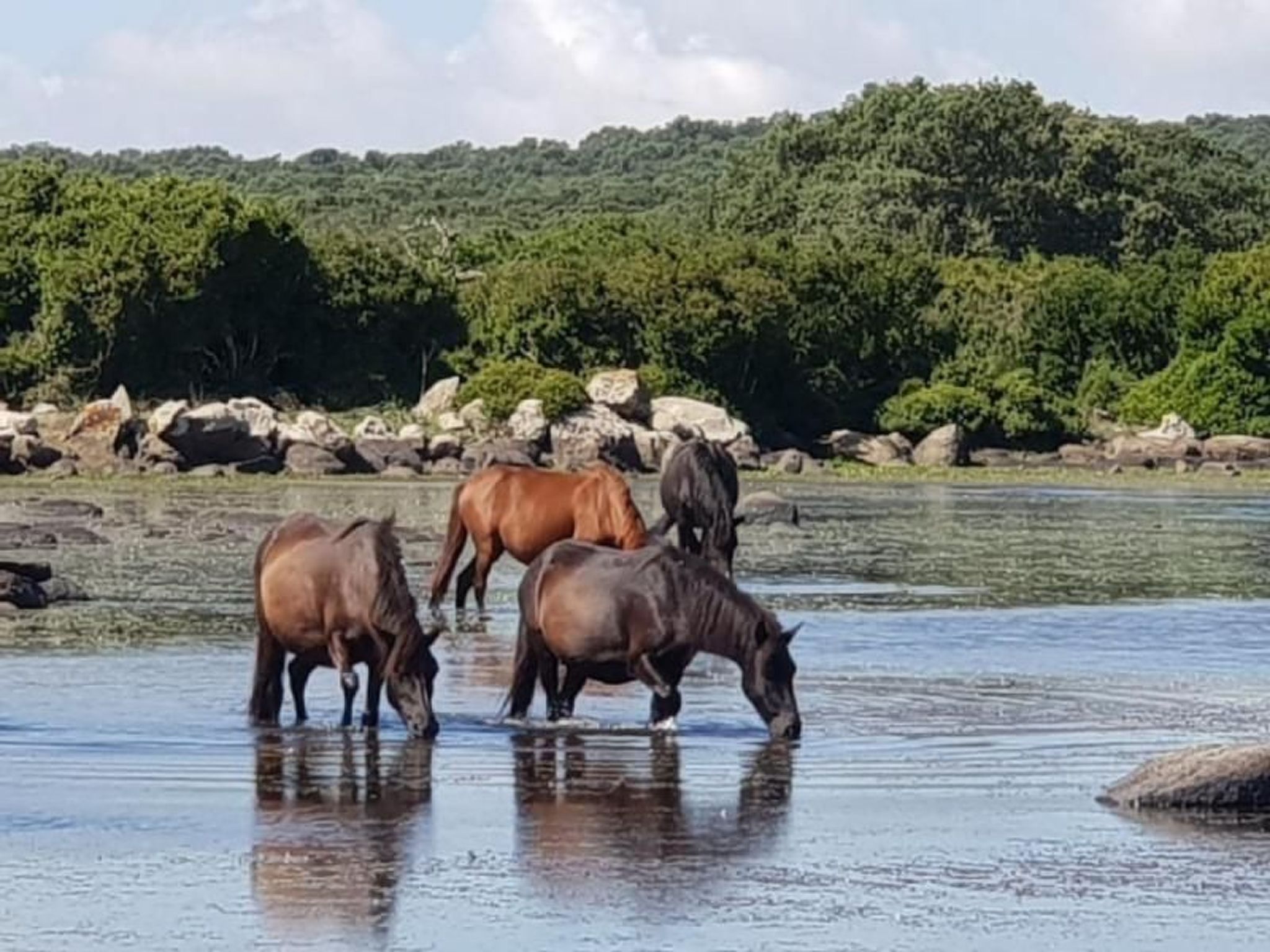 Mit Wasserblick-Image-tags.info