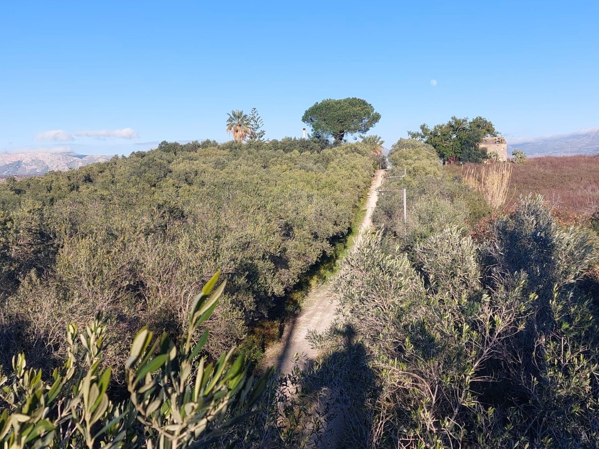 Entspannung, Meer, Natur, Kultur-Binnen