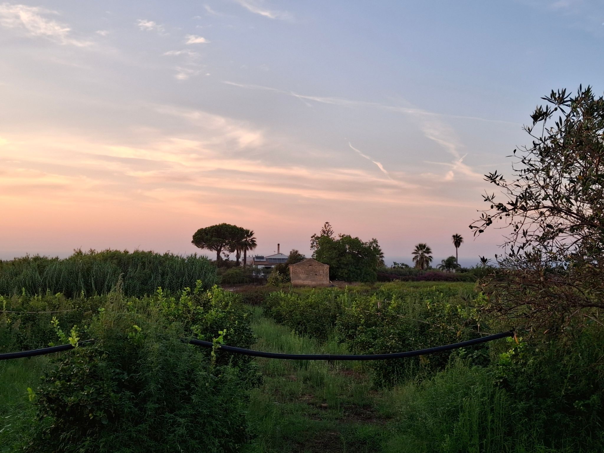 Entspannung, Meer, Natur, Kultur-Binnen