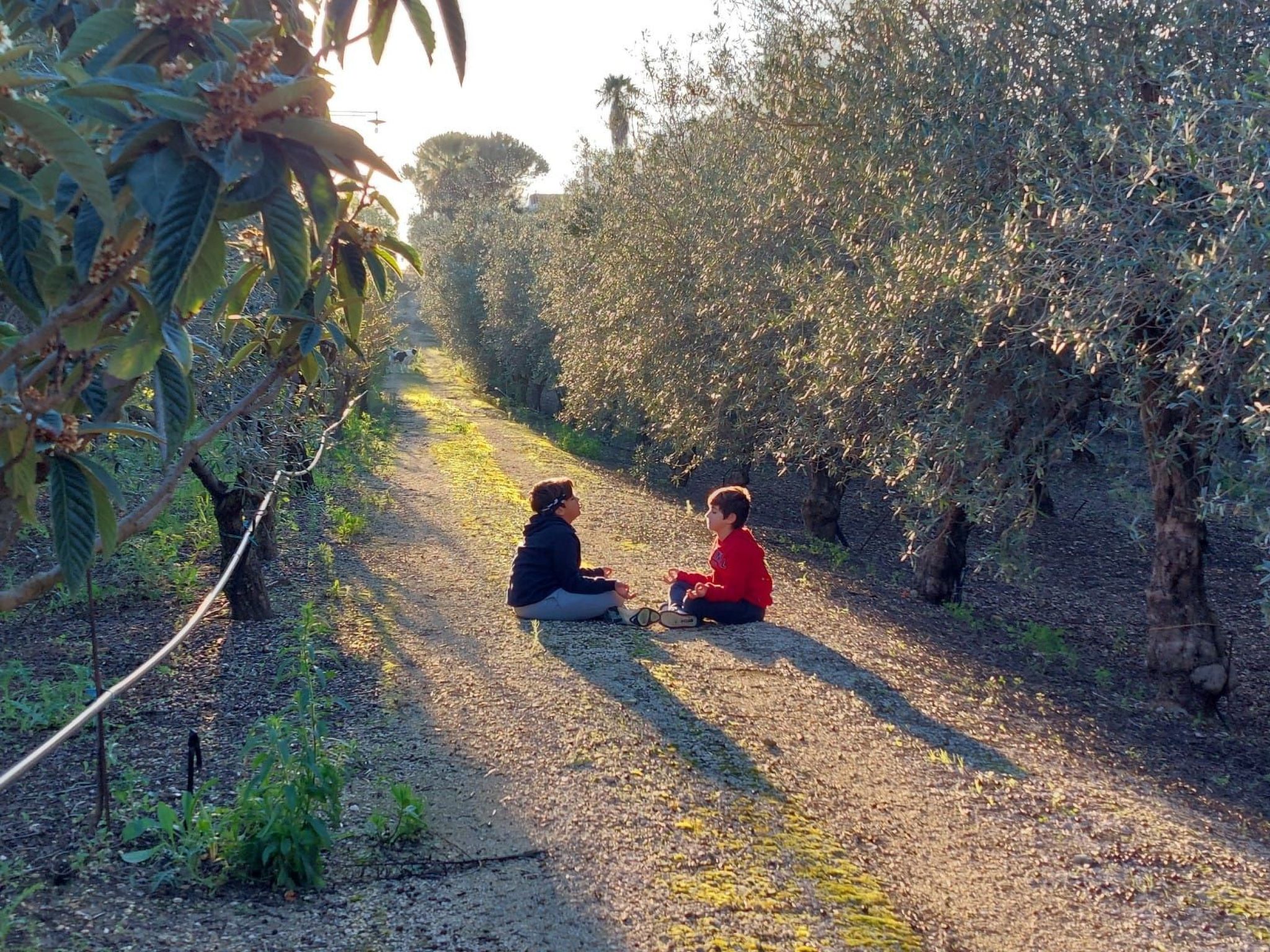 Entspannung, Meer, Natur, Kultur-Binnen