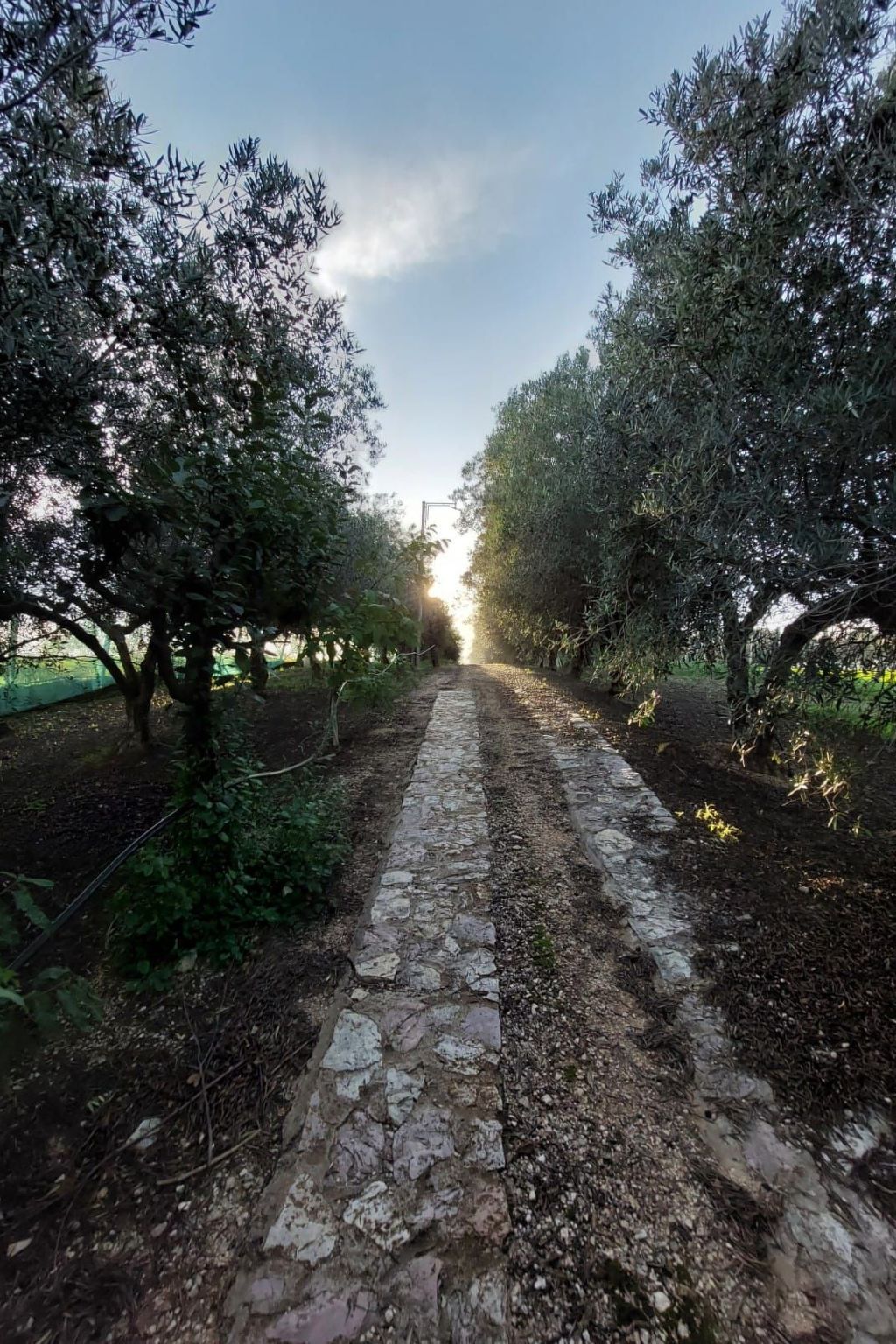 Entspannung, Meer, Natur, Kultur-Binnen