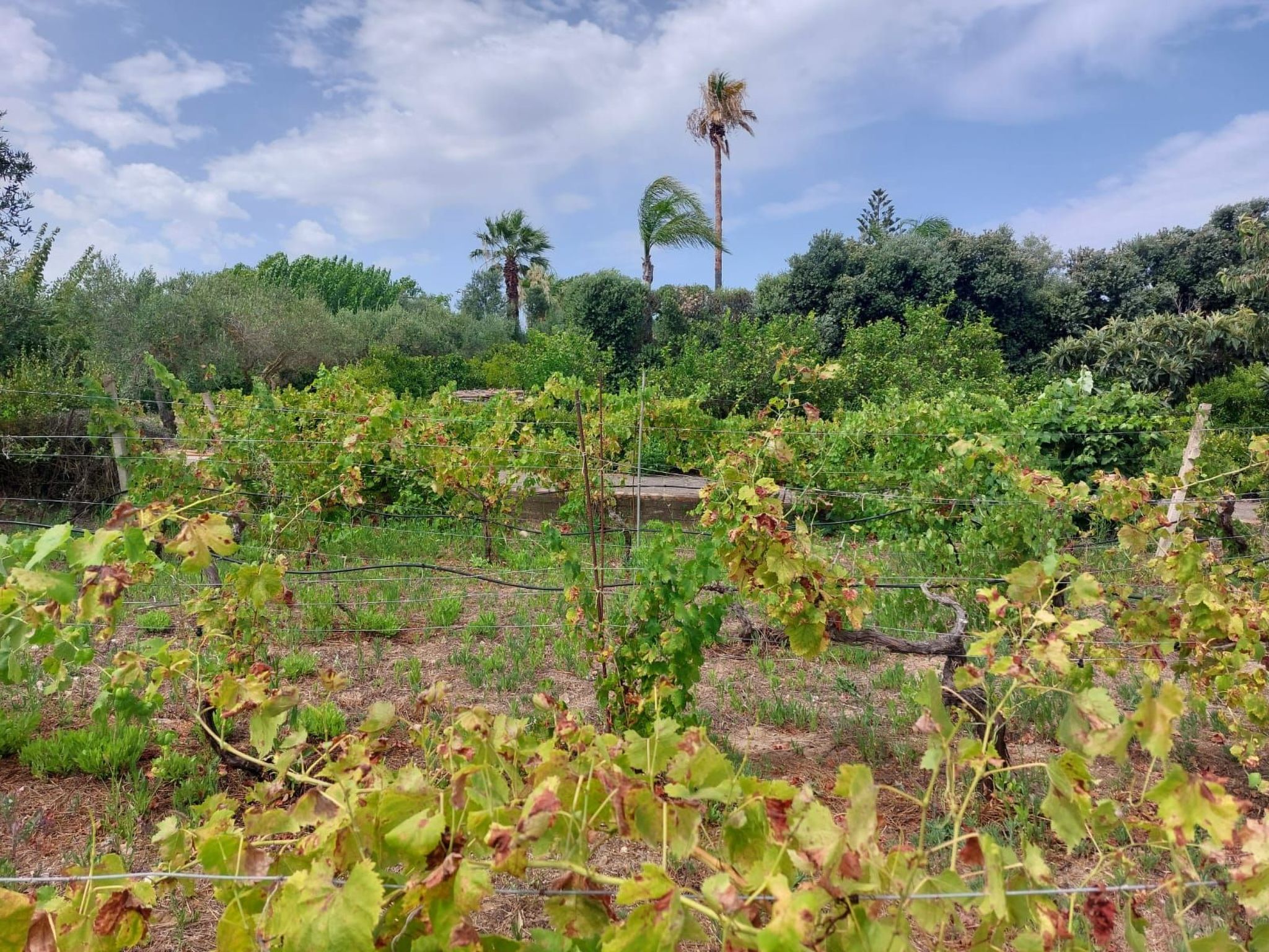 Entspannung, Meer, Natur, Kultur-Binnen