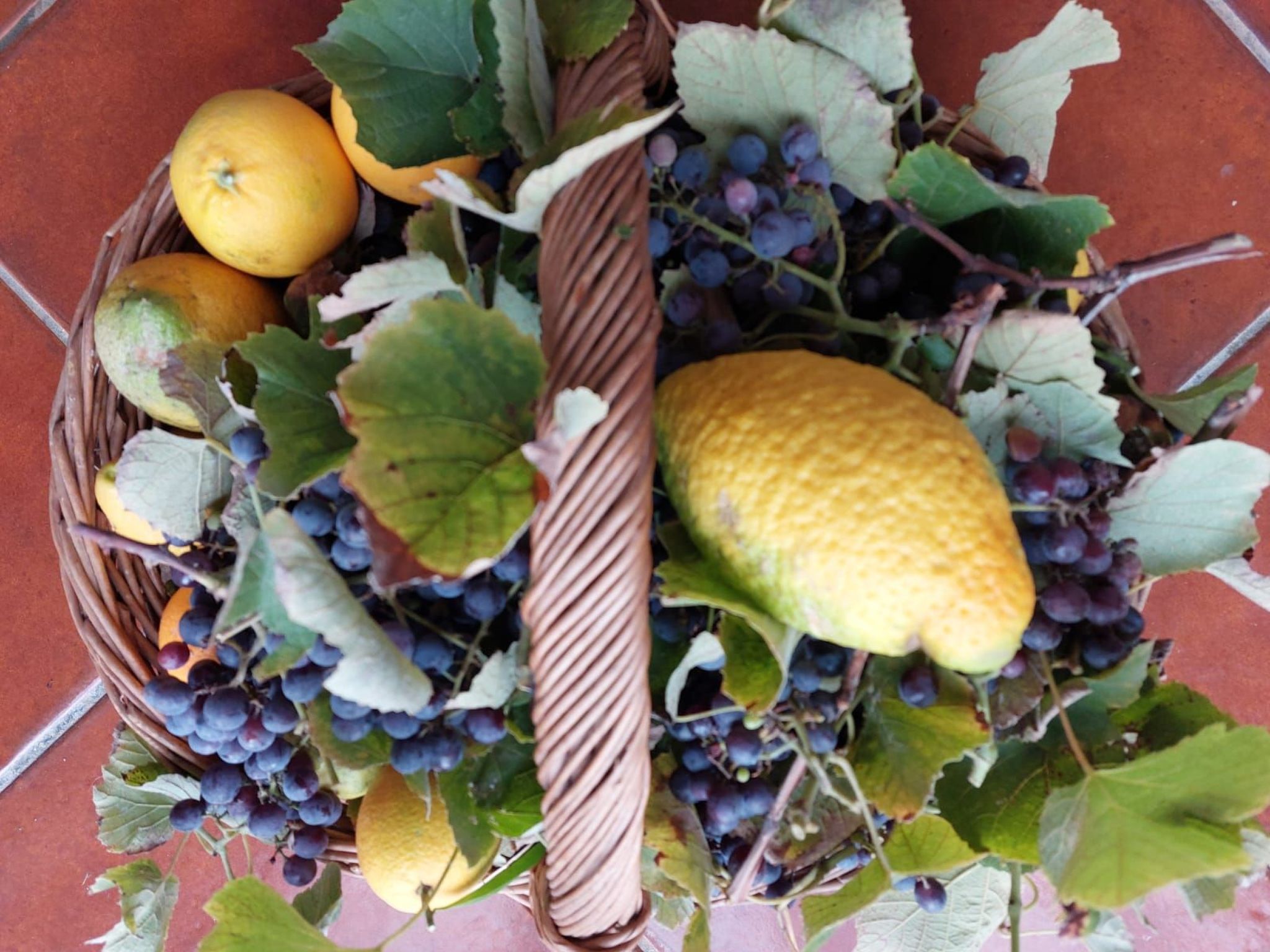 Entspannung, Meer, Natur, Kultur-Binnen