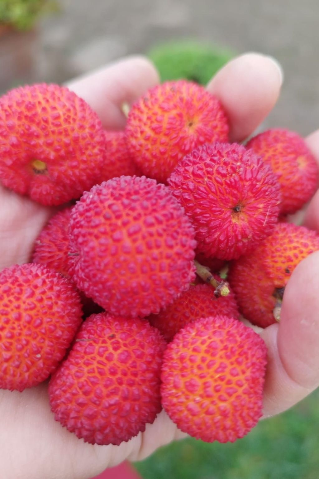 Entspannung, Meer, Natur, Kultur-Binnen