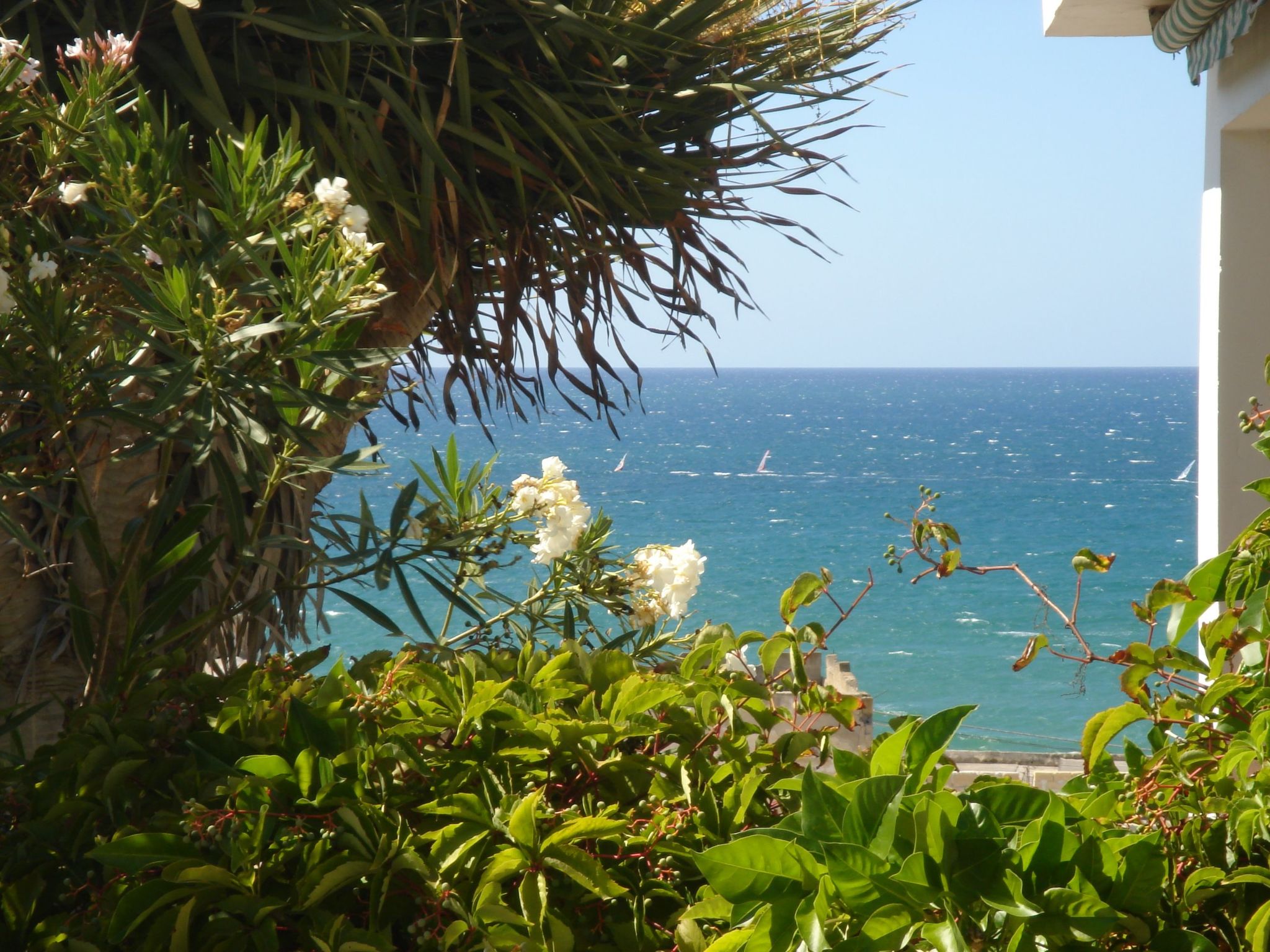 Nur 100 m vom Meer entfernt... mit Privatparkplatz-Buiten