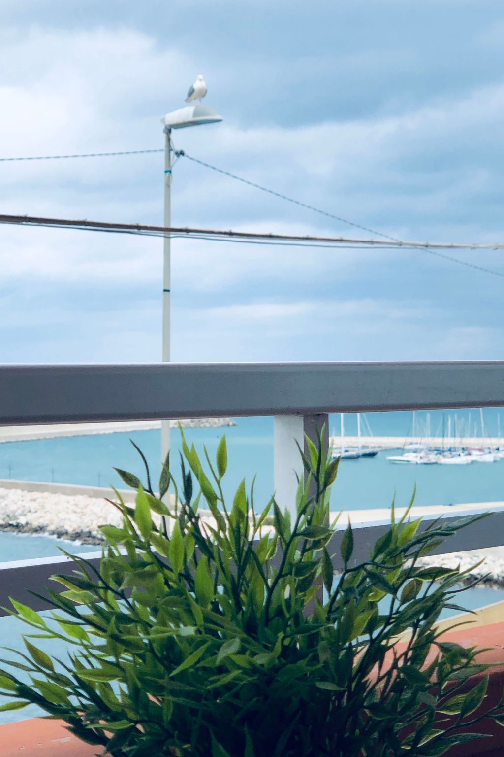 Daniele mit Meerblick-Image-tags.info