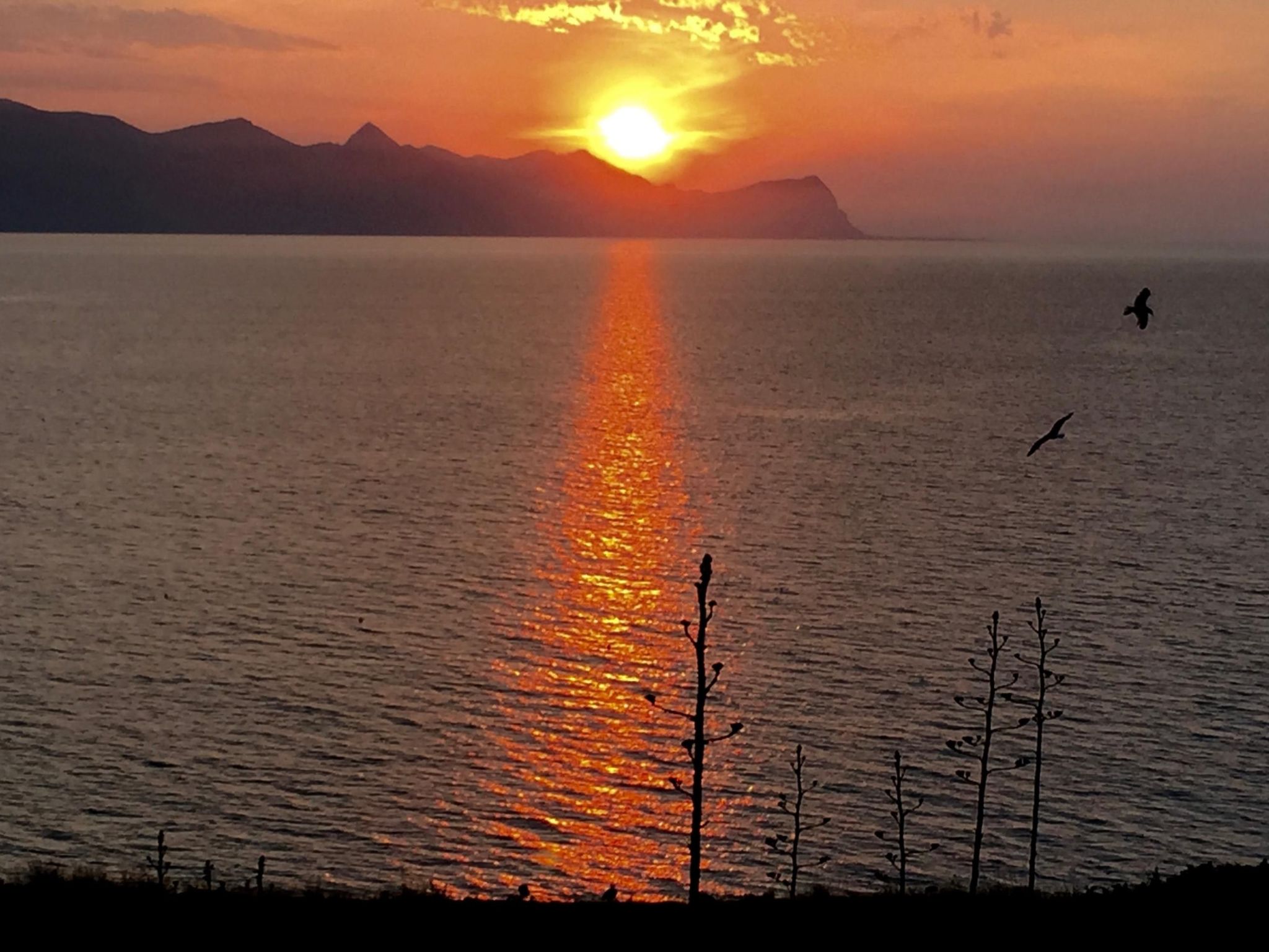 Lila Wohnung mit Schwimmbad und Meerblick