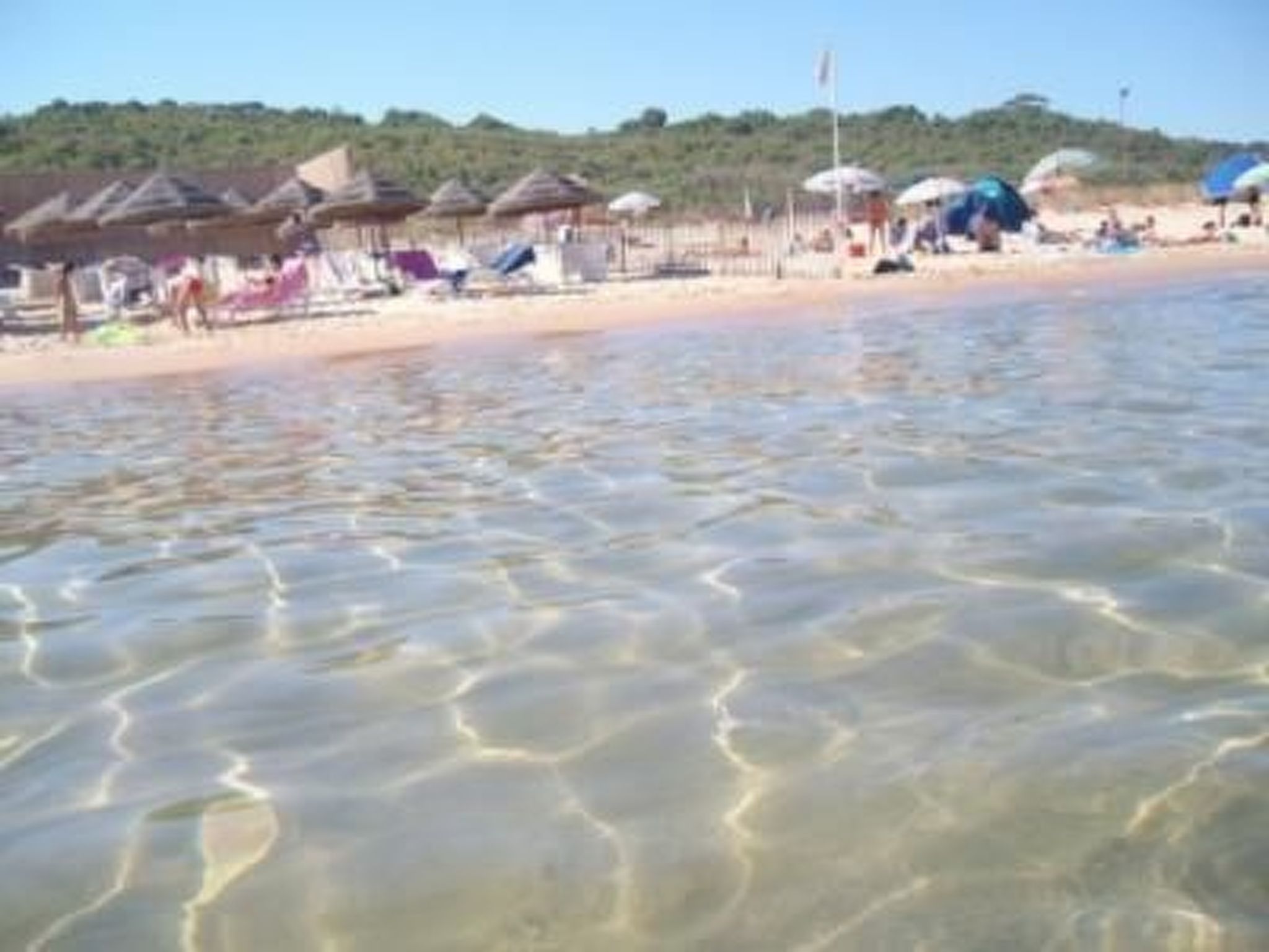 Lila Wohnung mit Schwimmbad und Meerblick-Image-tags.info