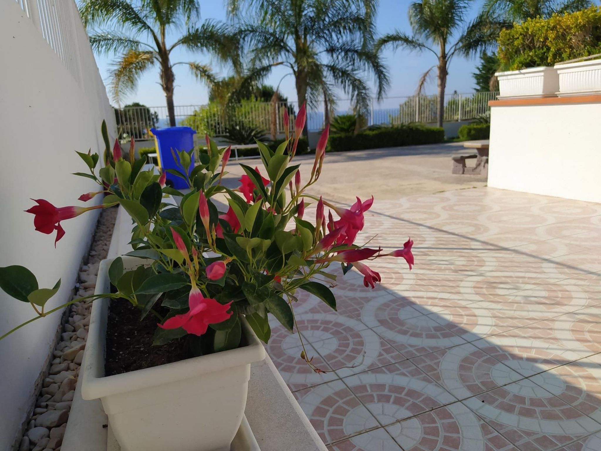 Villetta Cottone in Balestrate-Binnen