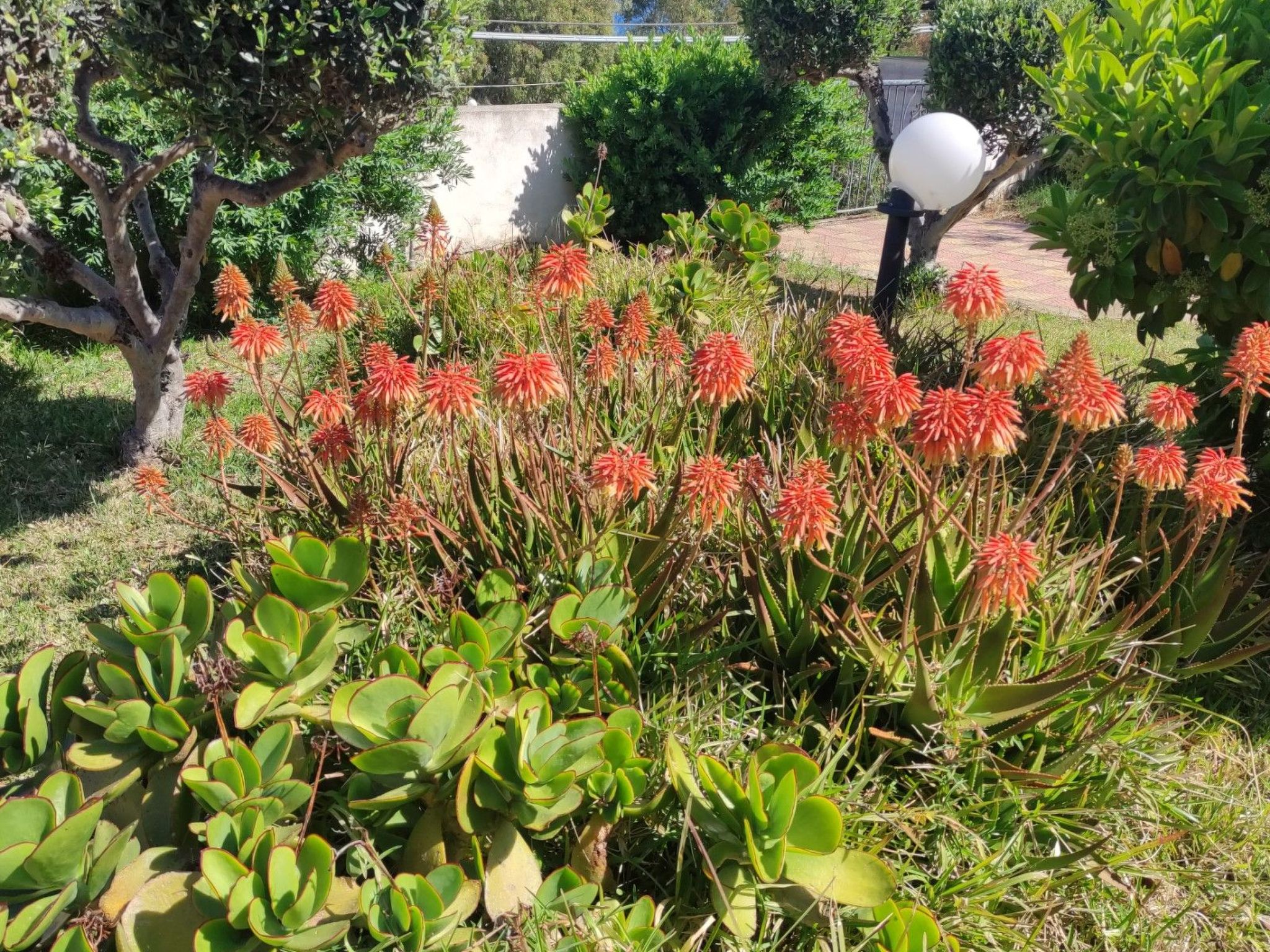 Casale Mare Monte-Binnen