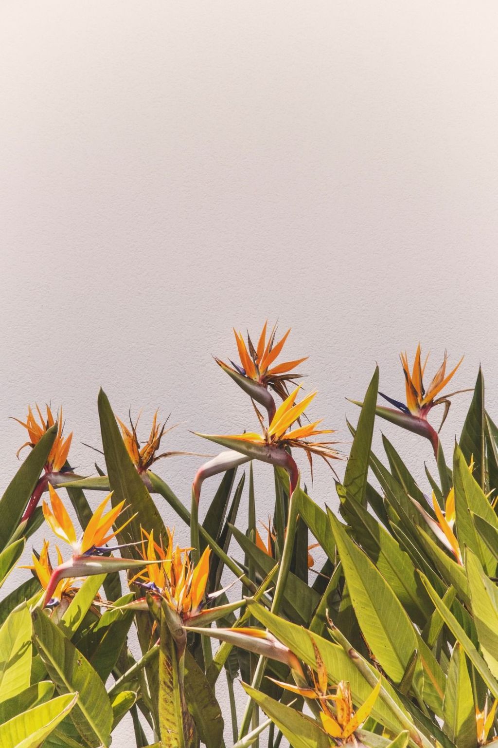 Villa 'delle Sterlizie' mit eigenem Pool-Binnen