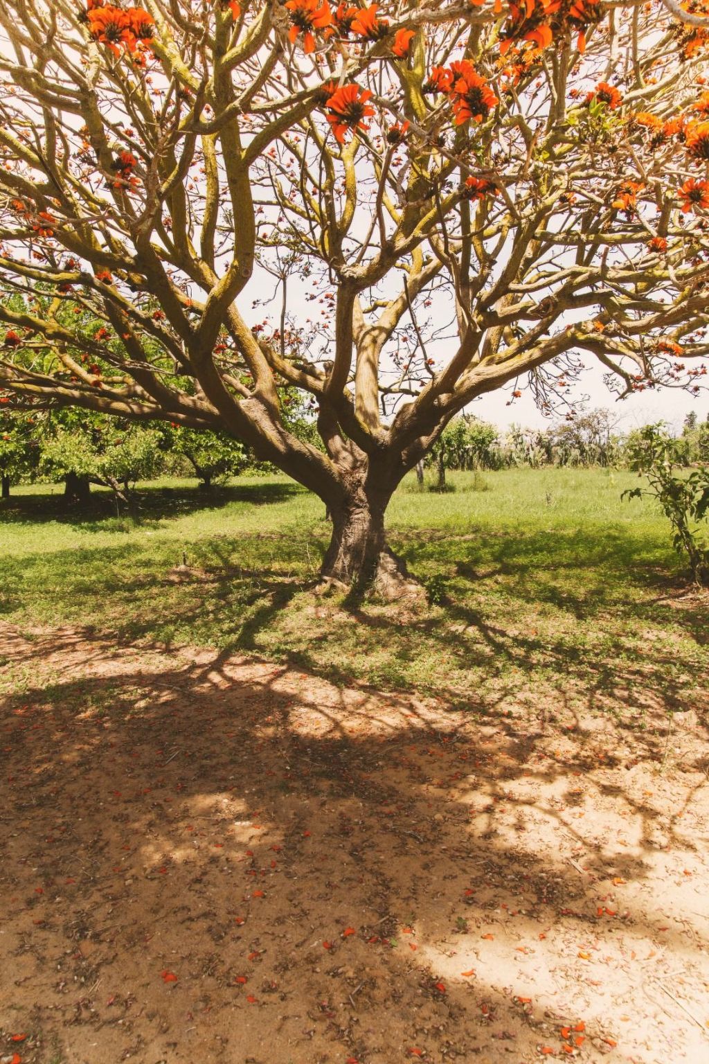 Villa 'delle Sterlizie' mit eigenem Pool-Binnen