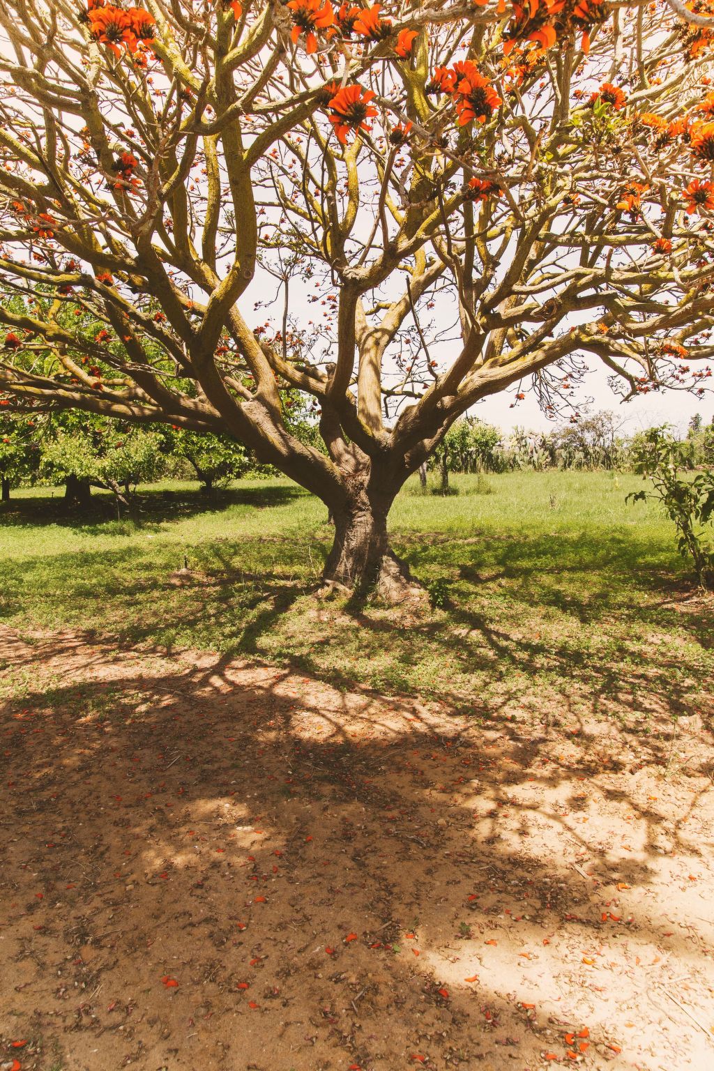 Villa 'delle Sterlizie' mit eigenem Pool-Binnen