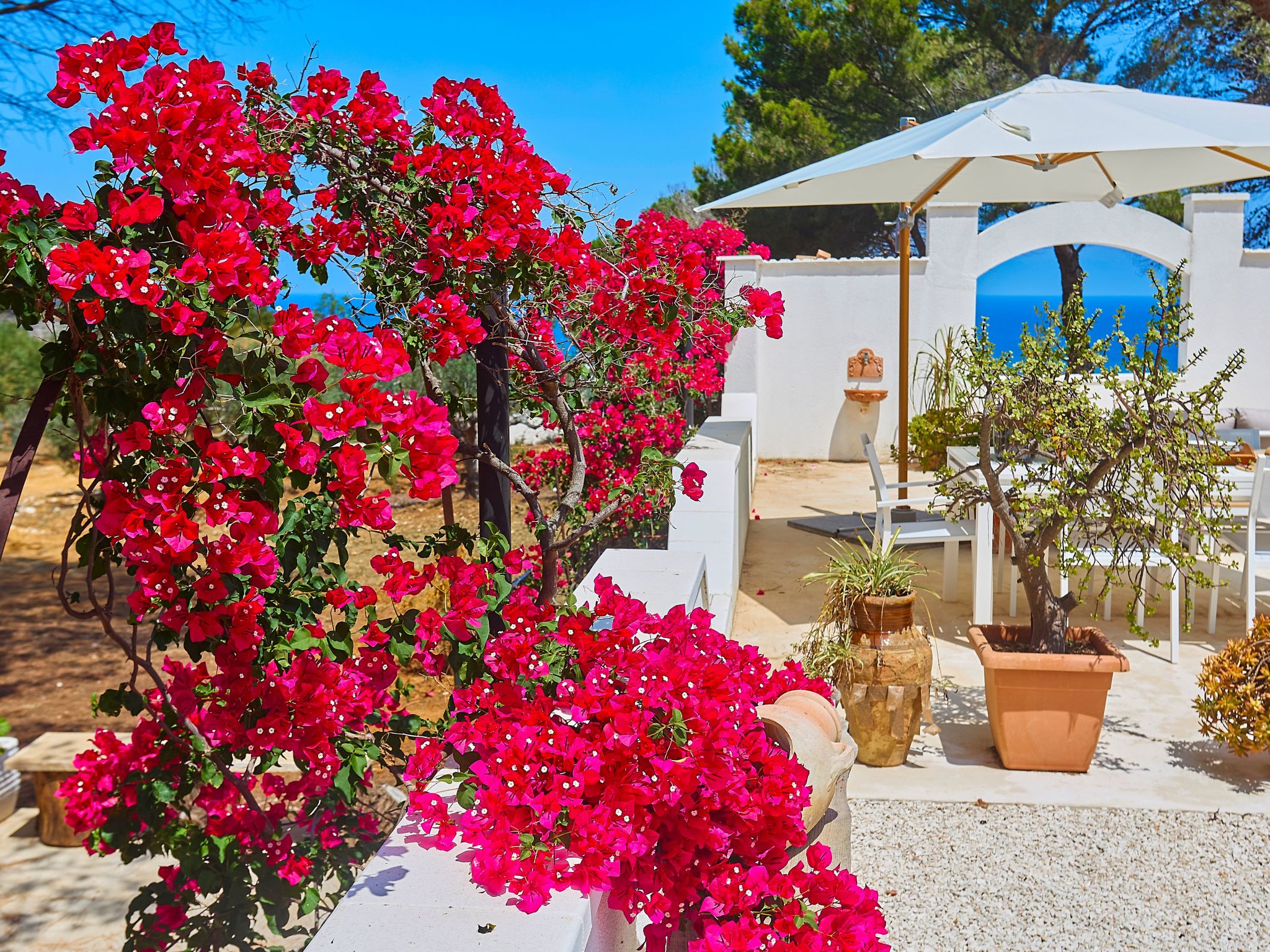 Villa Marinjo-Dedans