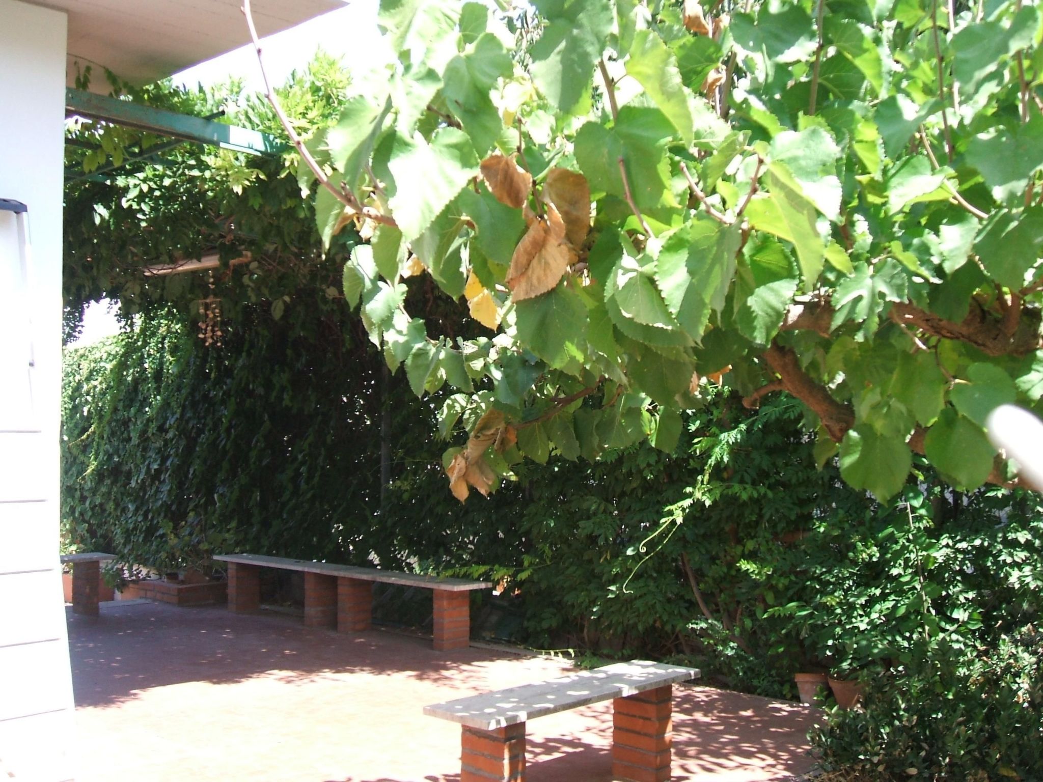 Villa Aliotis 200m vom Meer entfernt-Binnen