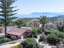 Lomatalo Melograno di Patrizia