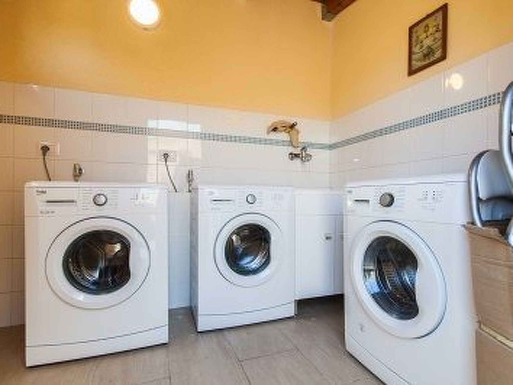 Flacher Flieder-Image-tags.info