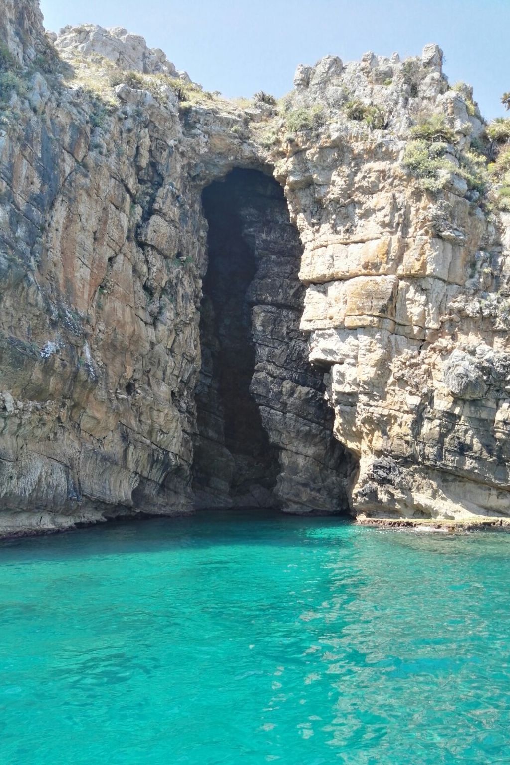 Flacher Flieder-Image-tags.info