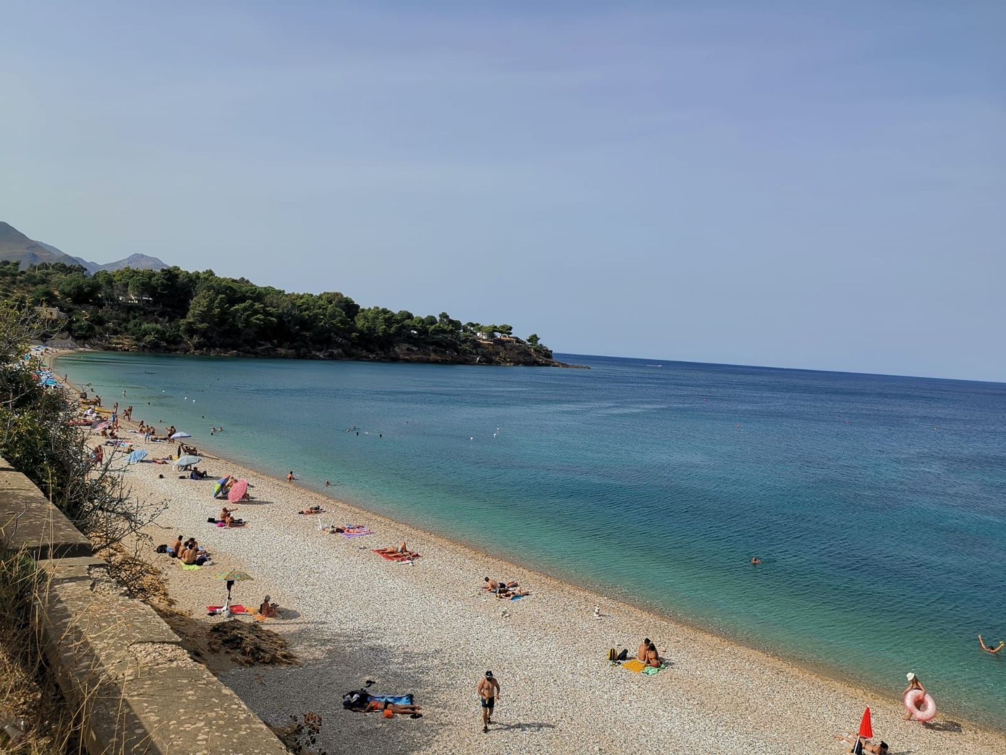 Flacher Flieder-Image-tags.info