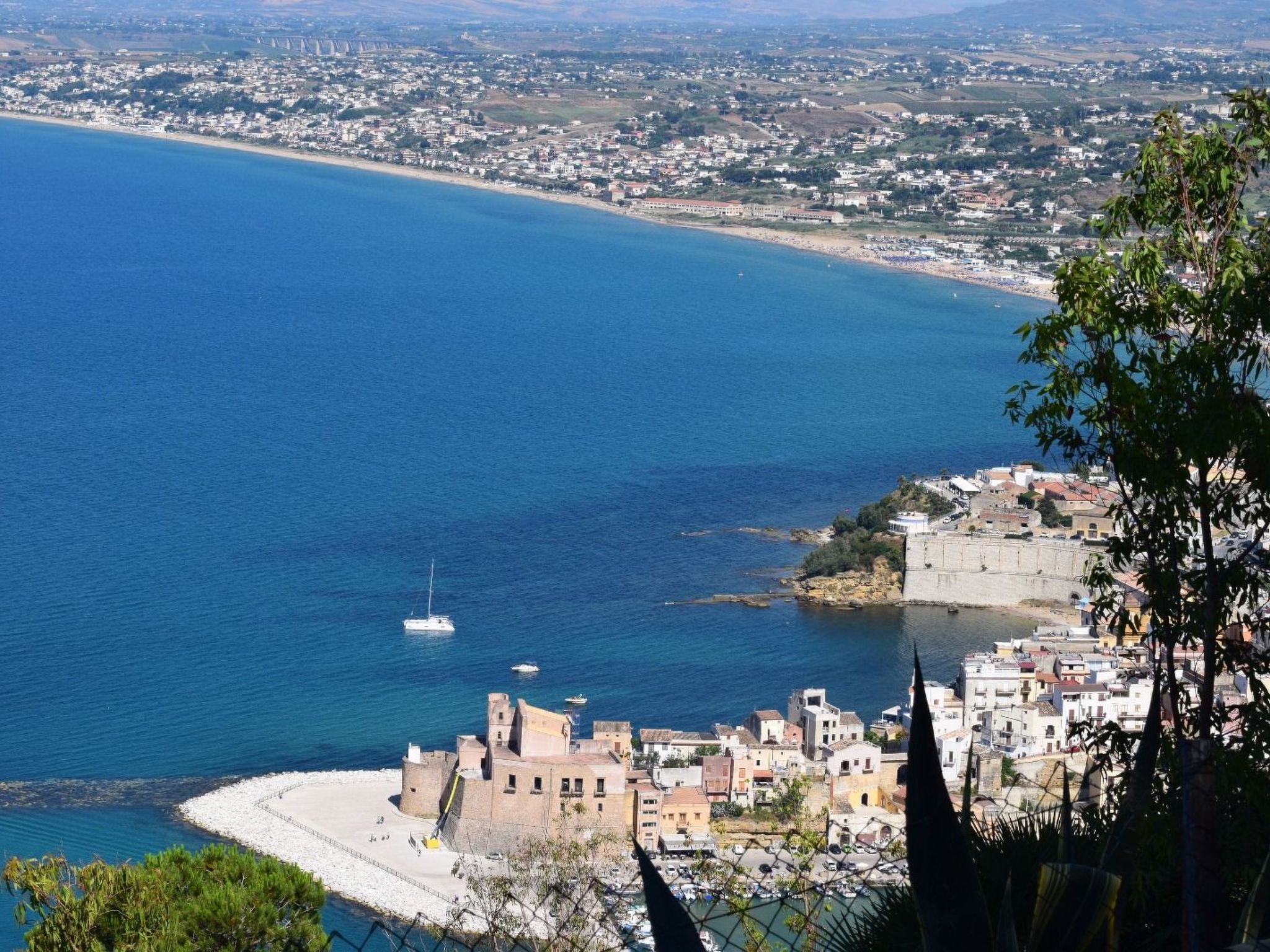 Flacher Flieder-Image-tags.info