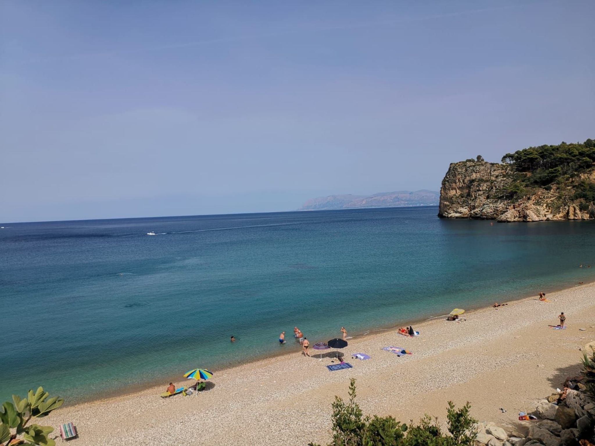 Flacher Flieder-Image-tags.info