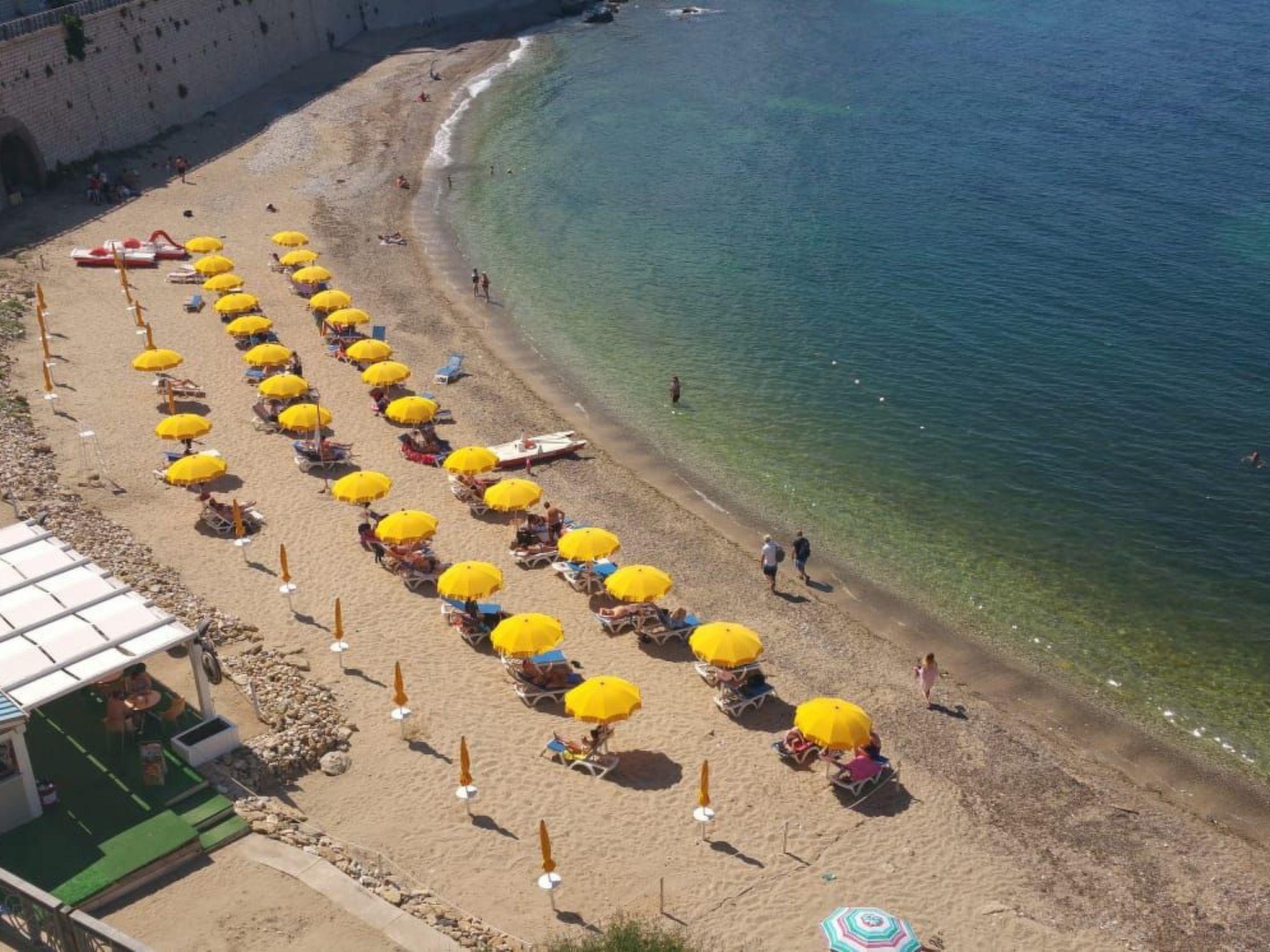 Flacher Flieder-Image-tags.info