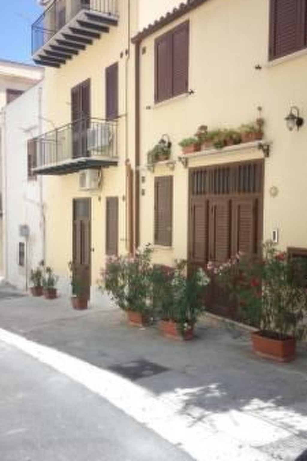 Flacher Flieder-Image-tags.info