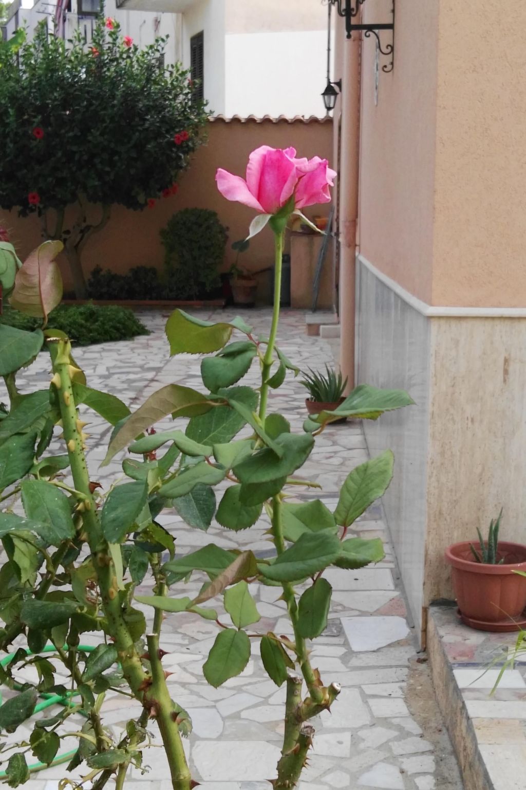 Gemütliche Ferienwohnung Villa Alba-Binnen