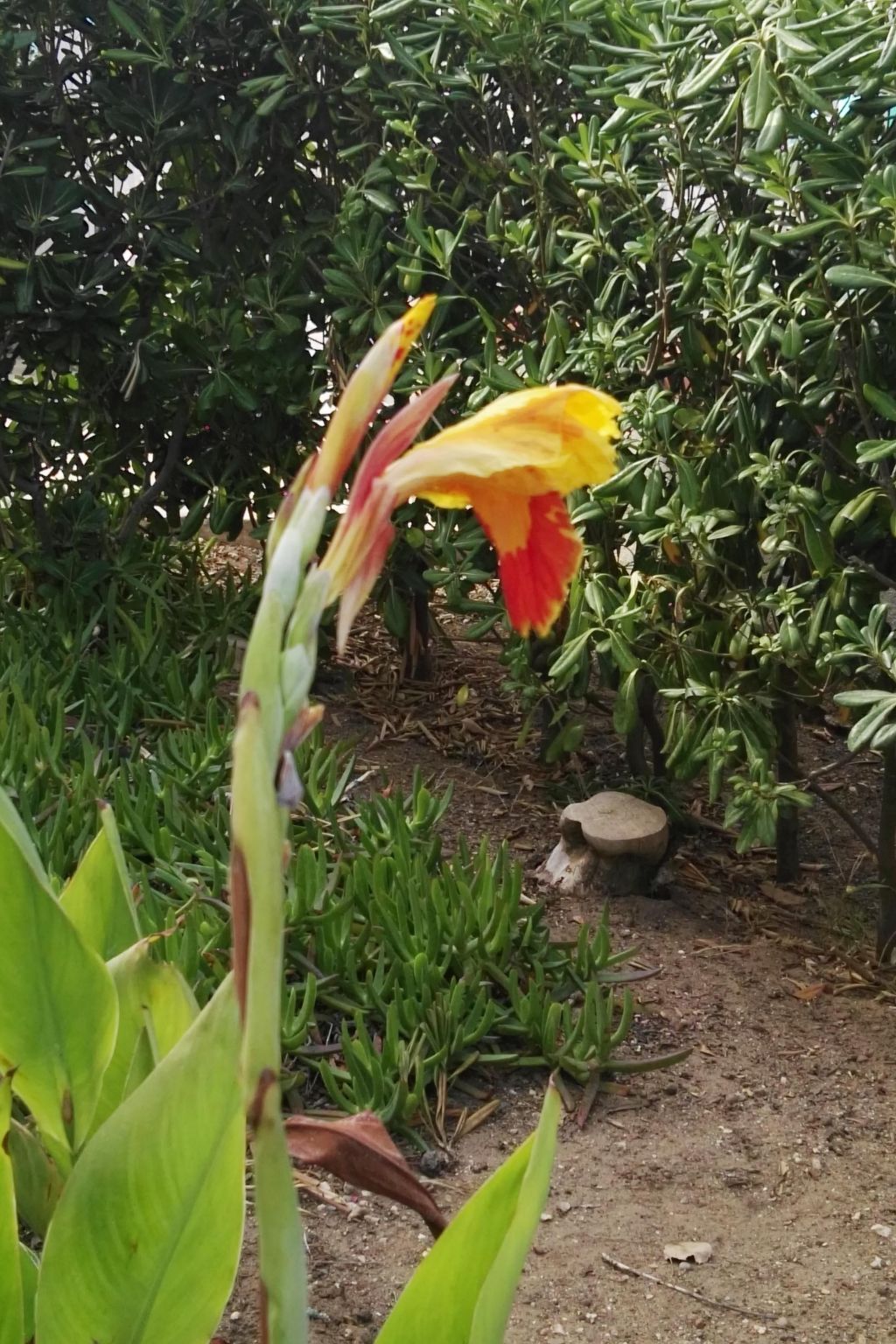 Gemütliche Ferienwohnung Villa Alba-Binnen